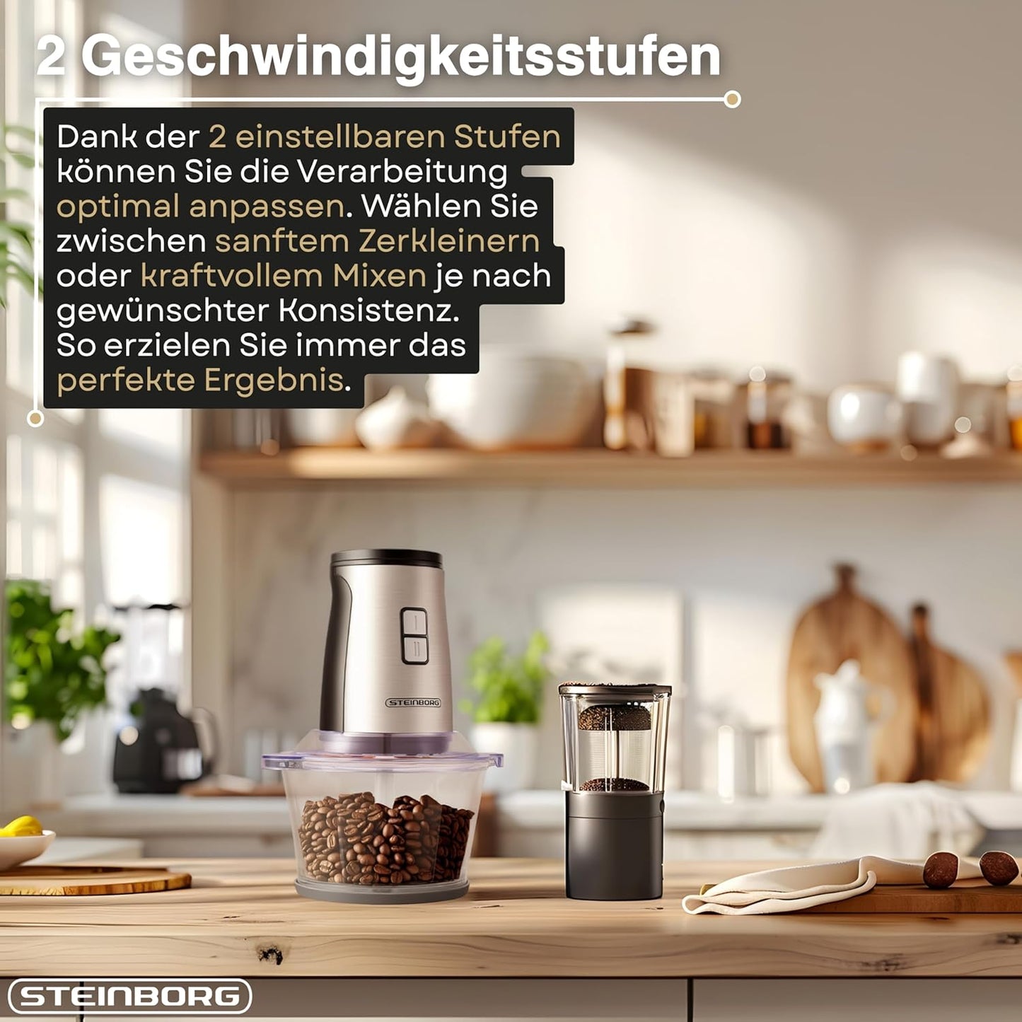 2in1 Standmixer & Multizerkleinerer Set