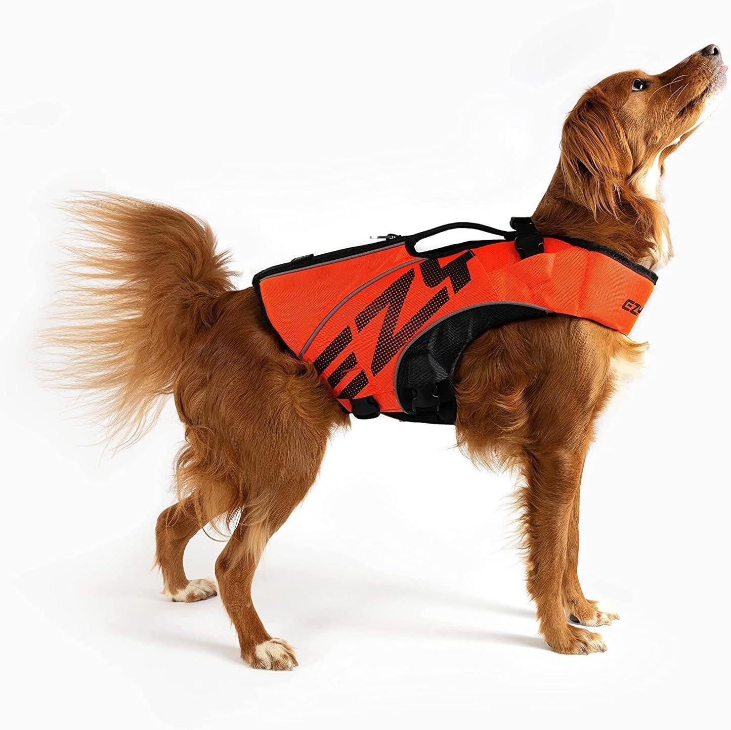 Schwimmweste für Hunde DFD X2 Boost, Rot XXXS