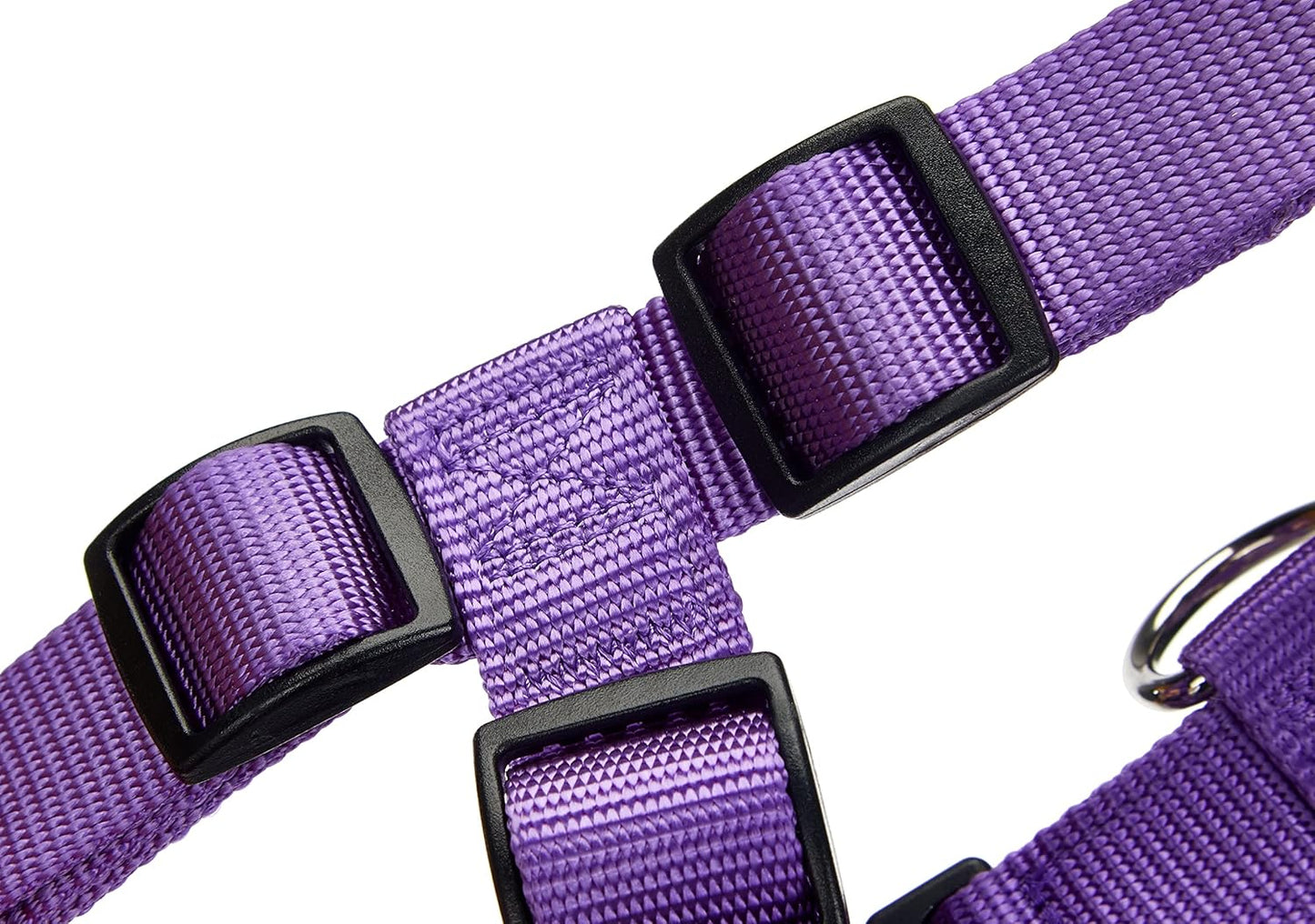 Hundegeschirr Classic, lila Länge 70-90 cm; Breite 25 mm