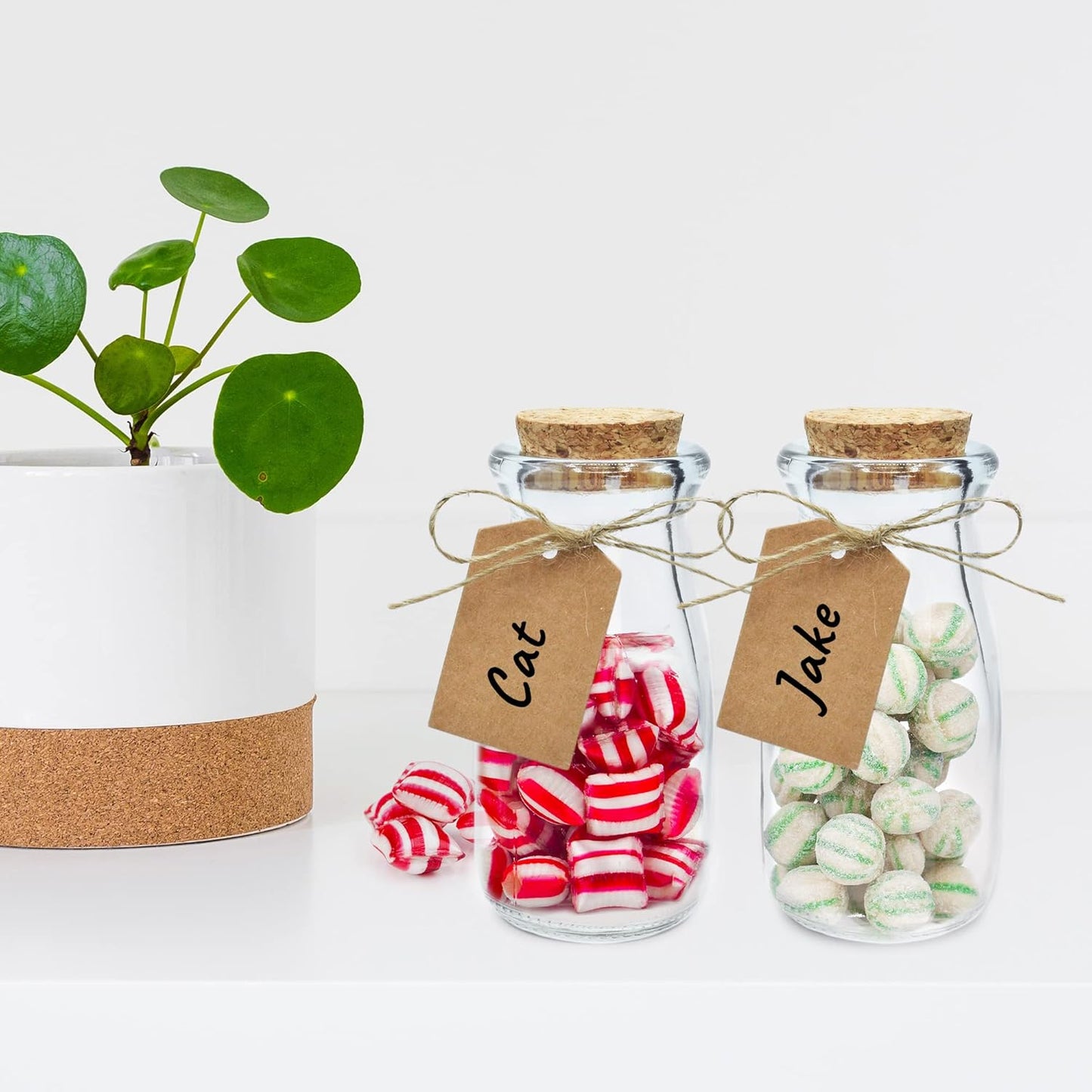 24er-Glasflaschen-Set mit Korkdeckel, 100ml - 24 Bottles
