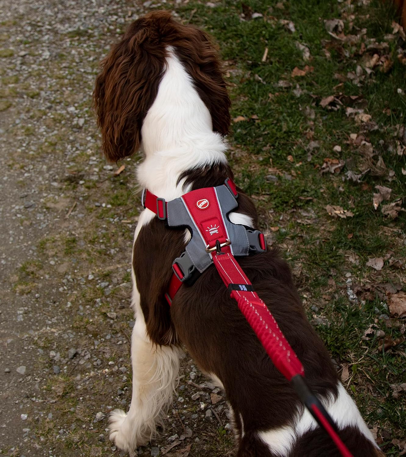 Reflektierendes No-Pull Hundegeschirr, XS, Blau