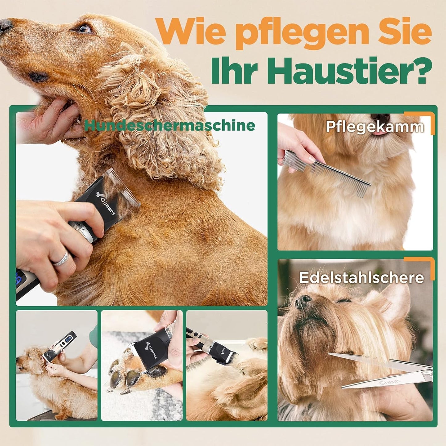 Hundeschermaschine, Standard