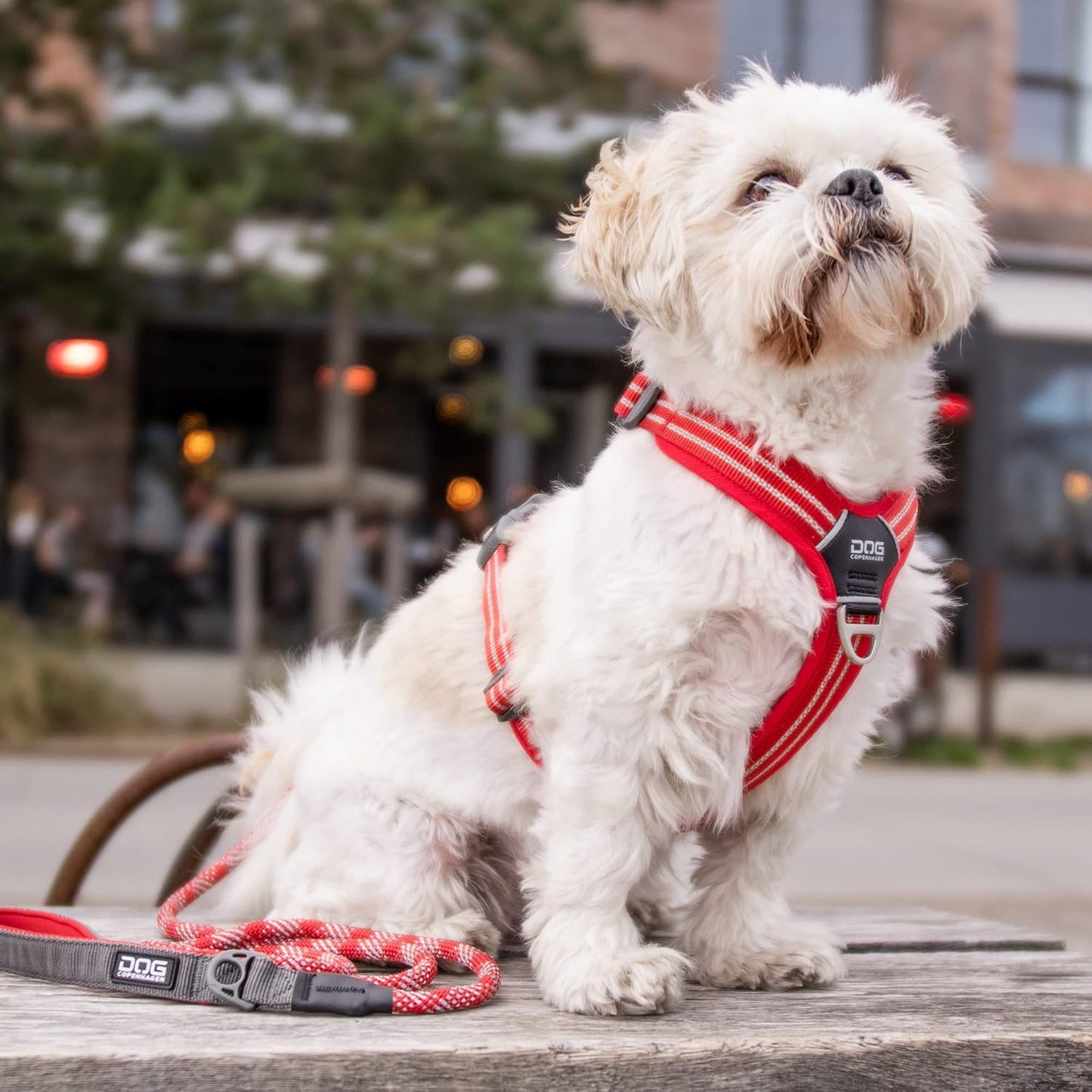 Comfort Walk Air Hundegeschirr, Mocca XS