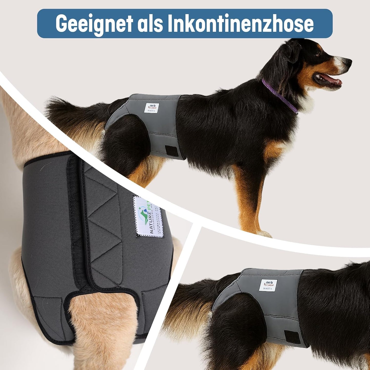 Läufigkeitshose für Hündinnen, Rot / S-L