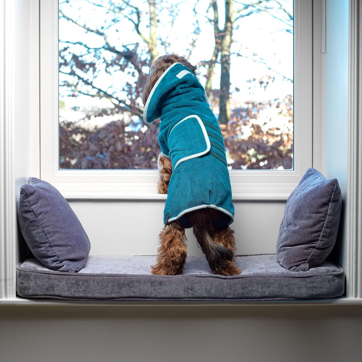 Hundebademantel, Teal XXS
