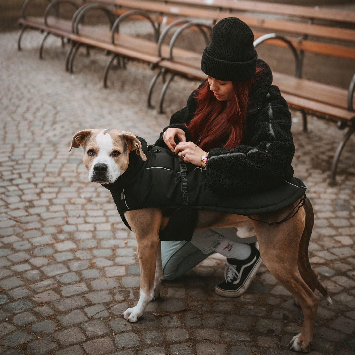 Hundemantel, 30 schwarz