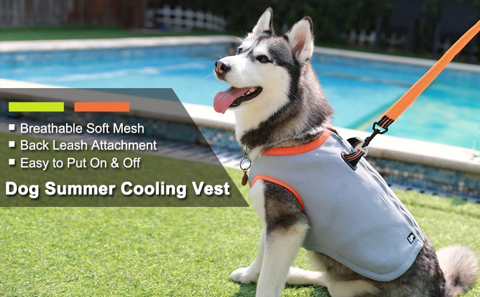 Kühlweste für Hunde, M(1er Pack)|Grün