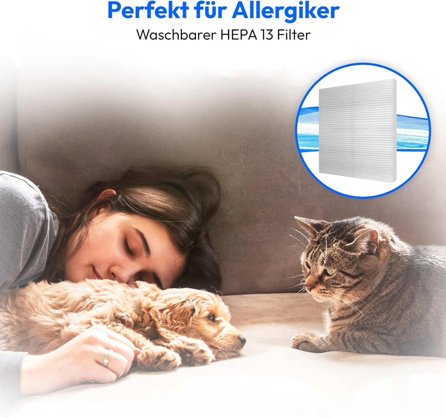 E2001 Beutelloser Zyklon-Staubsauger (MD12078)