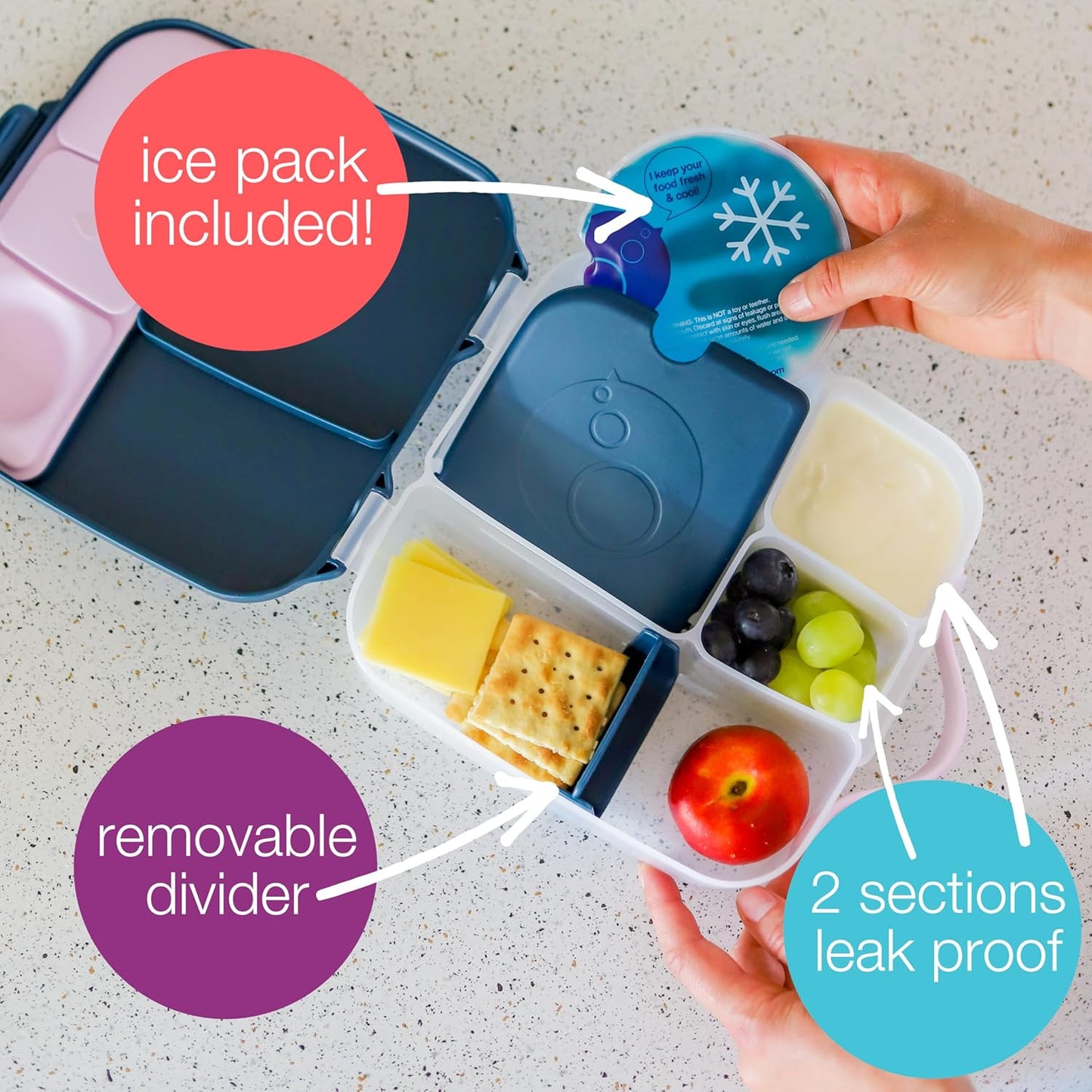 Jumbo Bento Brotdose mit 4 Fächern und Kühlakku, 2 L, Indigo-rose