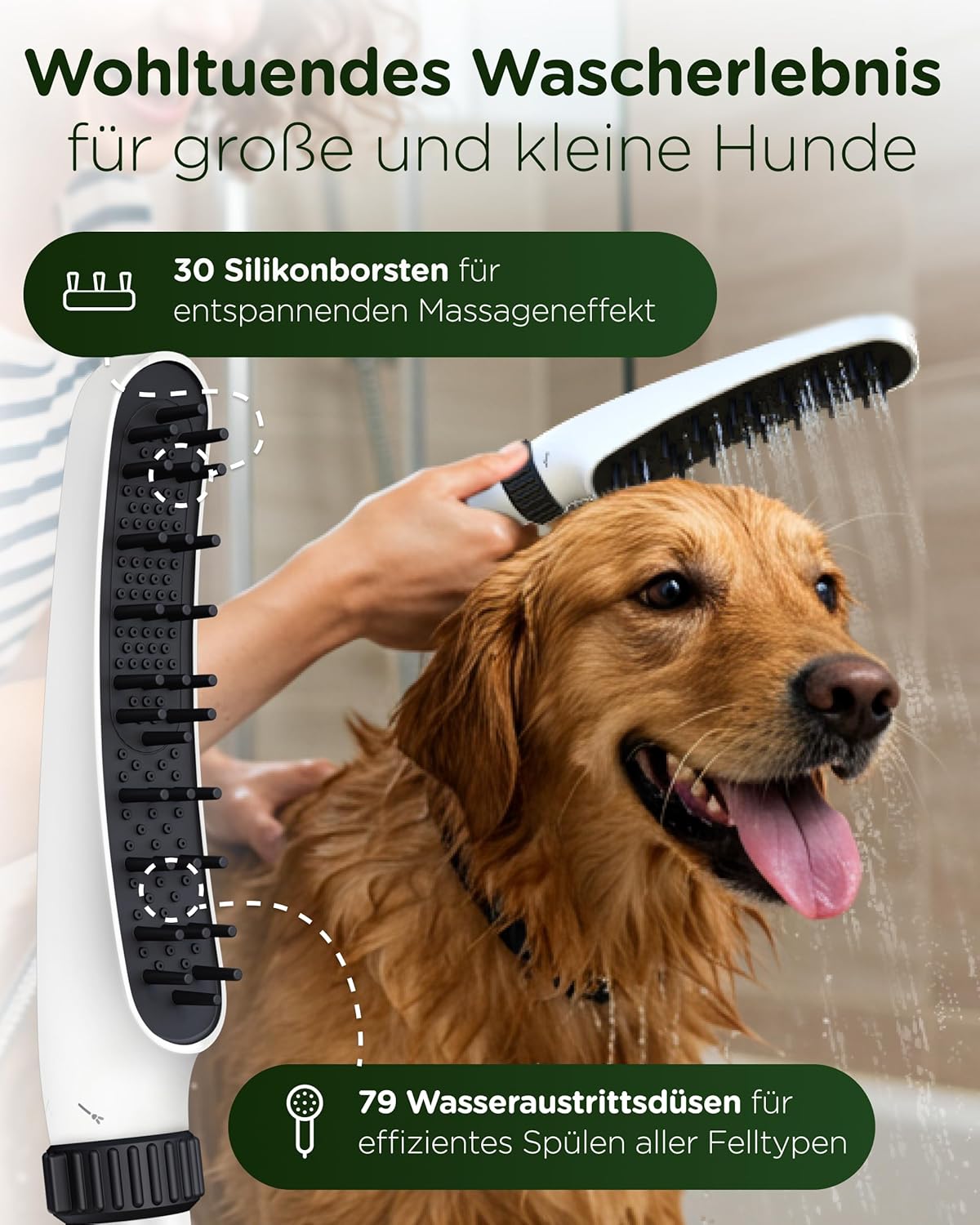 Hundebrausekopf, Weiß
