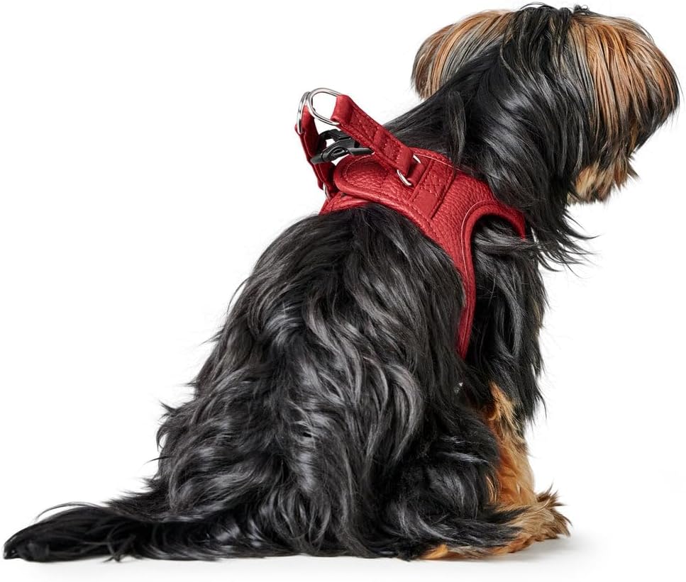 Hundegeschirr Love, atmungsaktiv, verstellbar, XXS-XS, rot