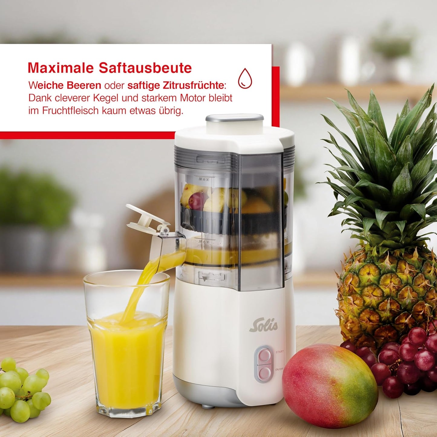 Elektrischer Multi-Juicer