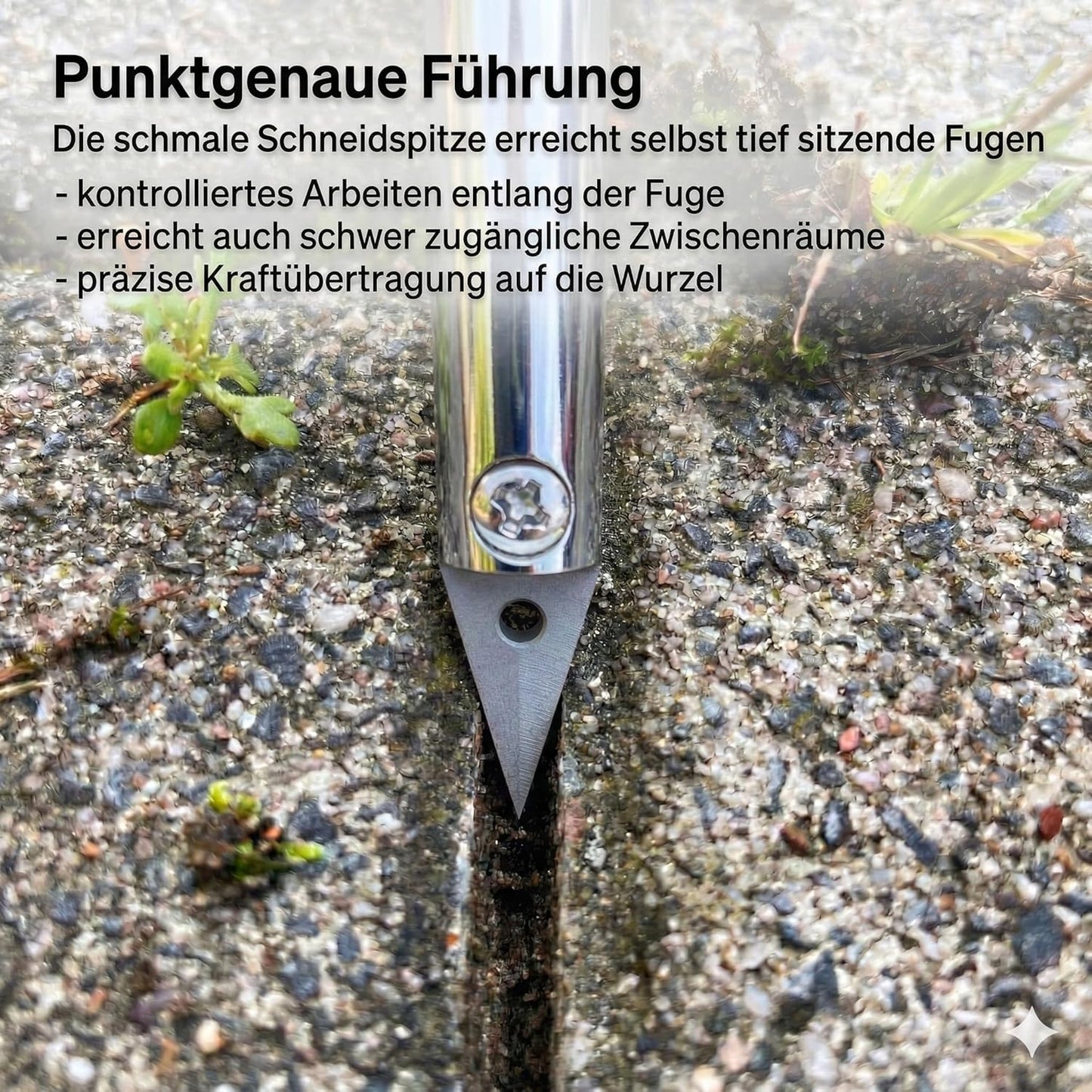 Fugenkratzer mit Teleskopstiel und Hartmetallklinge