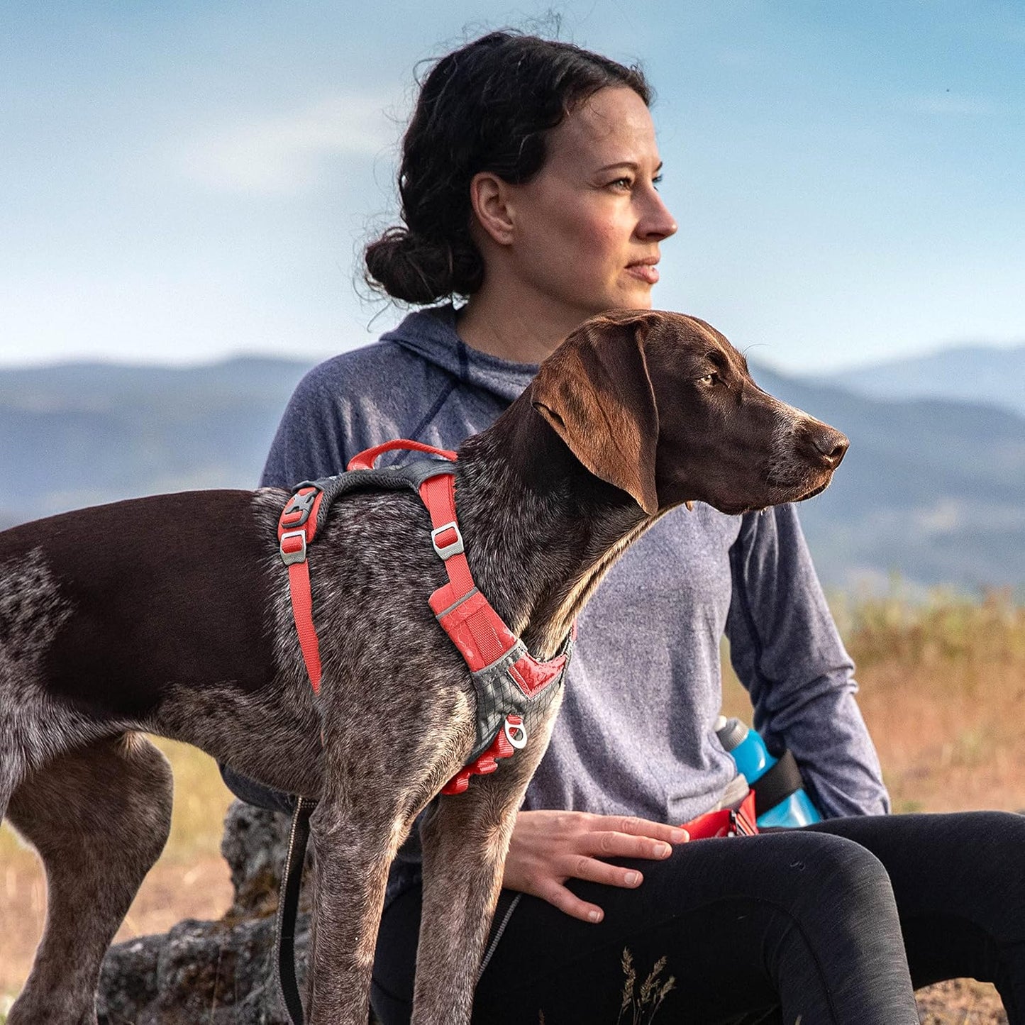 Journey Air Hundegeschirr, Coral Small
