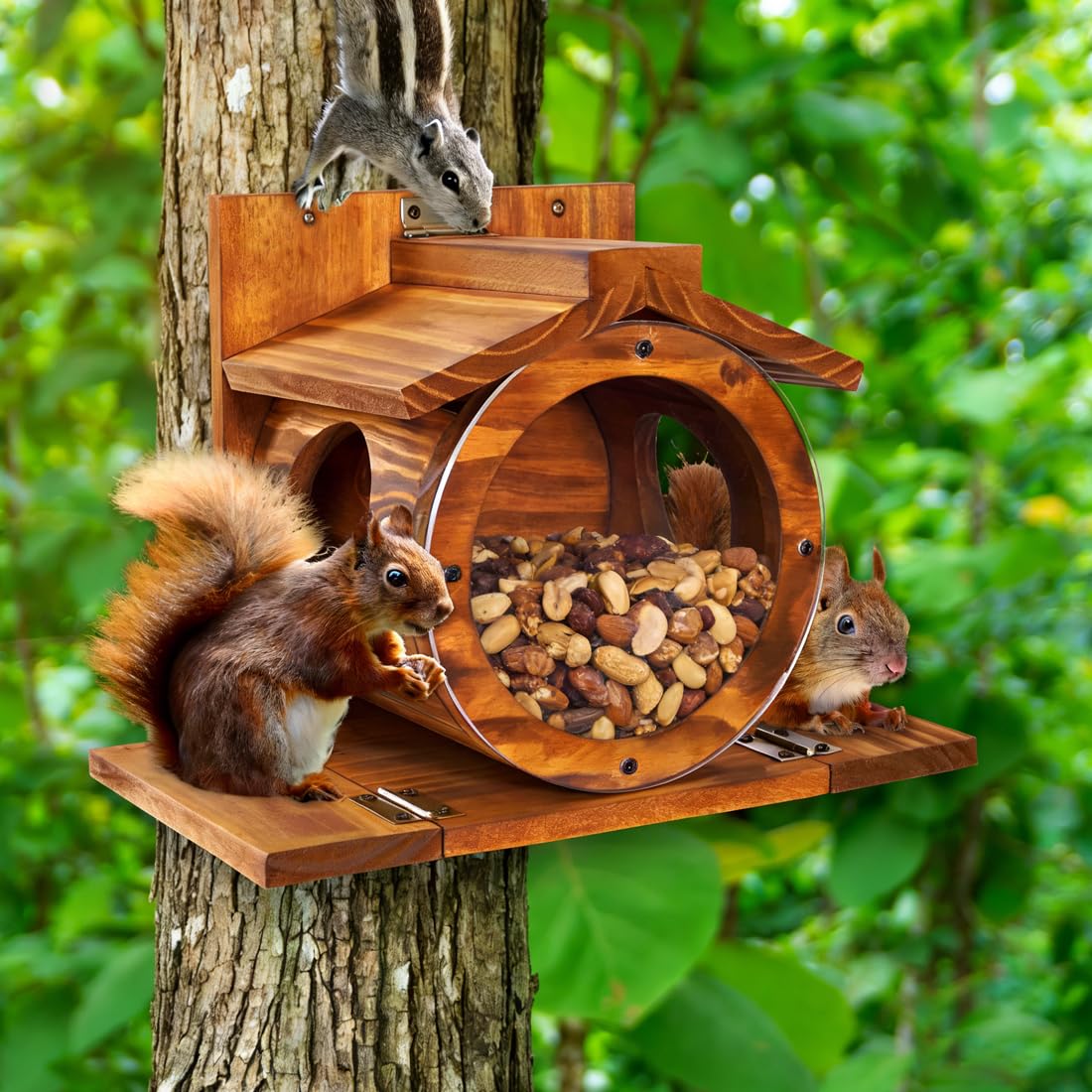 Eichhörnchen Futterstation mit Sitzplattformen