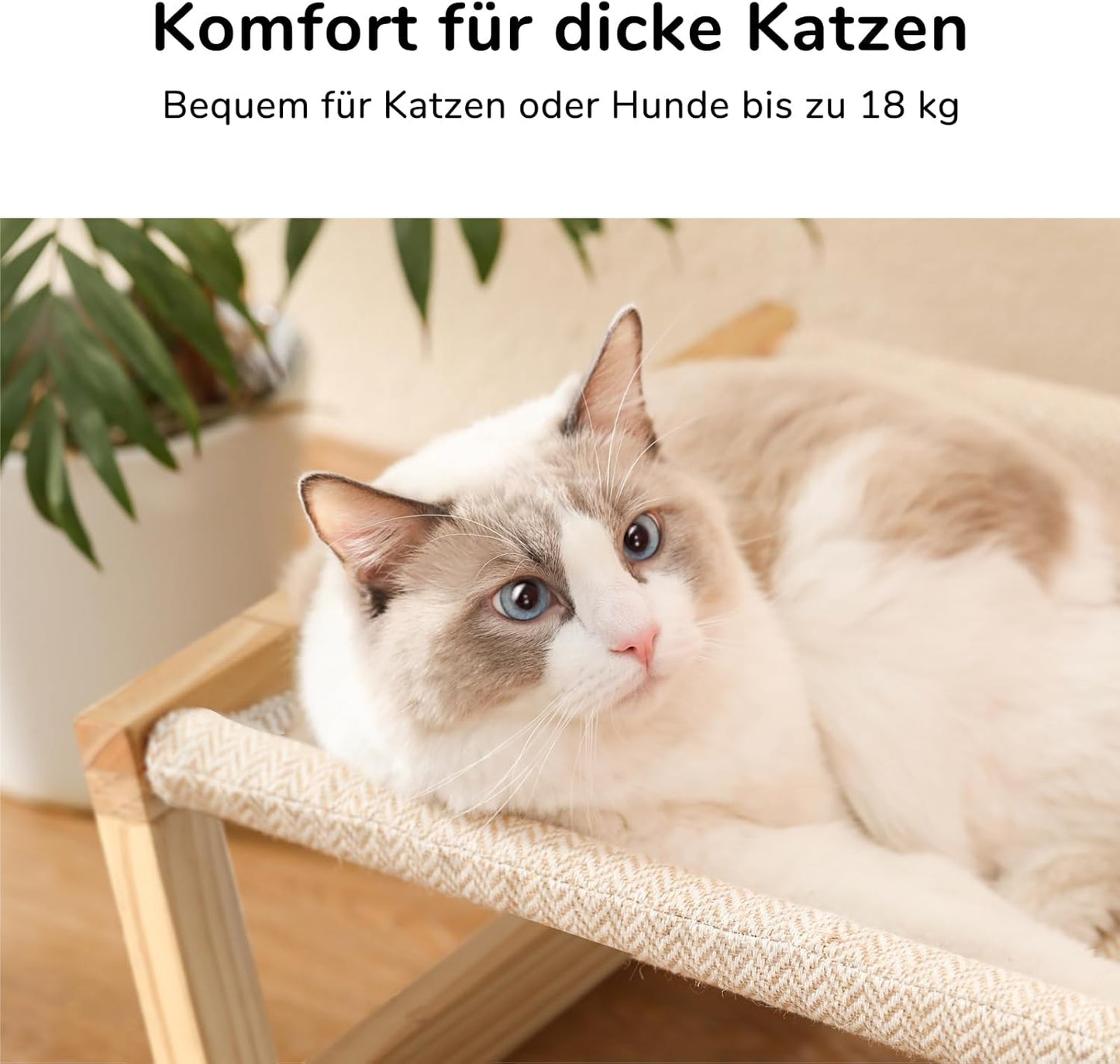 Erhöhtes Katzen- und Hundebett bis 18 kg, stapelbar, beige