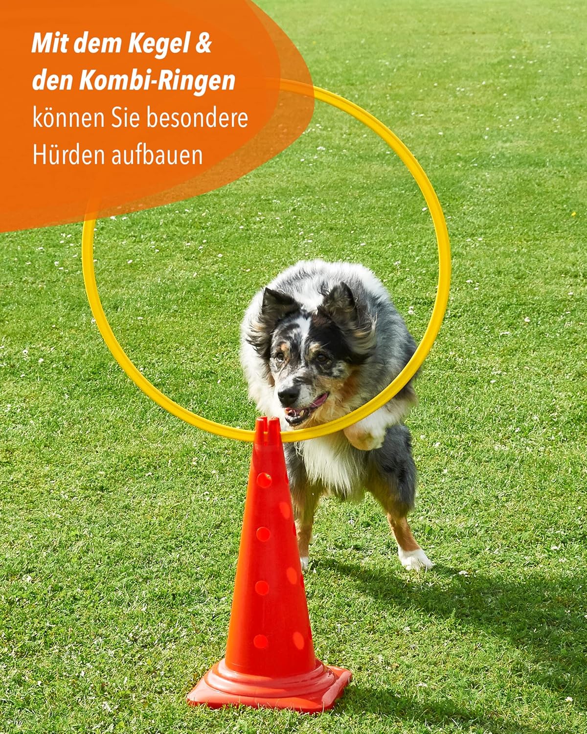 Kombi Kegel für Agility-Training, 4 Stück, Mehrfarbig