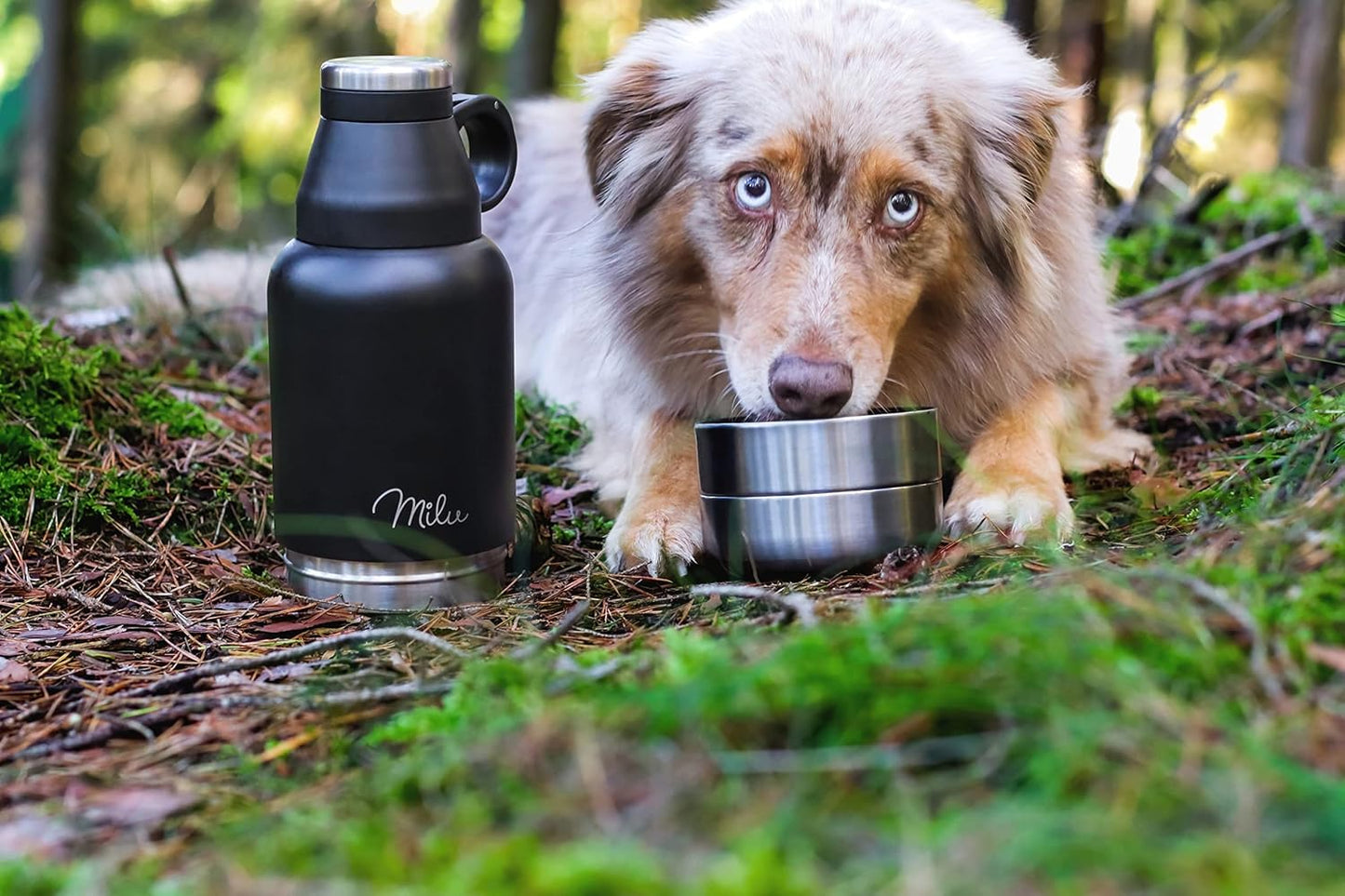 Hundetrinkflasche mit Futternapf, Schwarz
