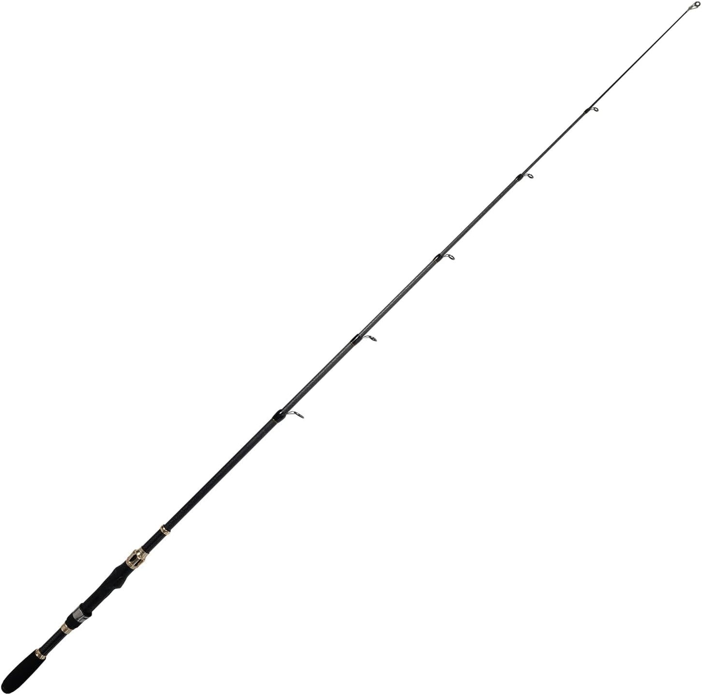Teleskop-Spinnrute für Reise und Streetfishing