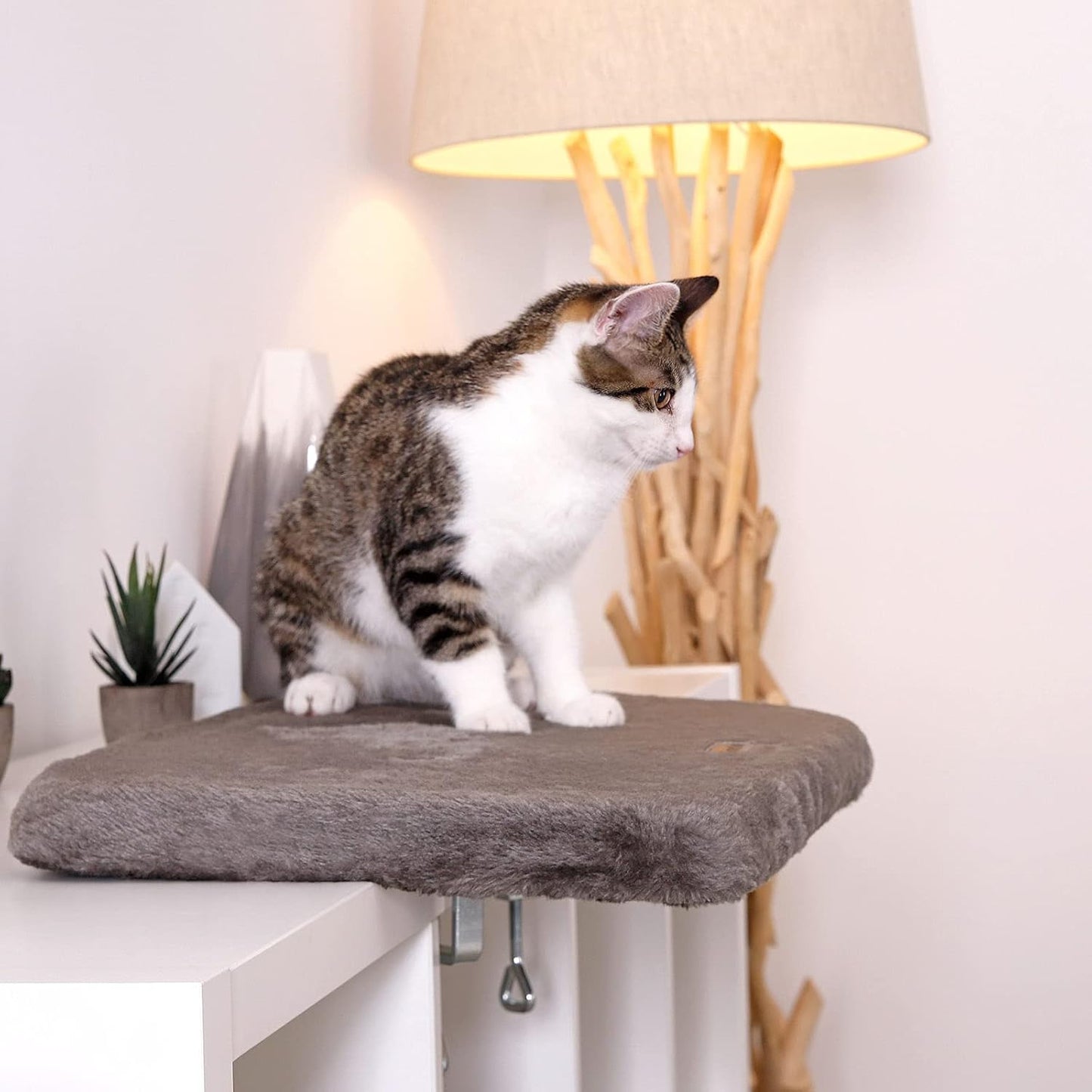 Fensterliege für Katzen, Dunkelgrau
