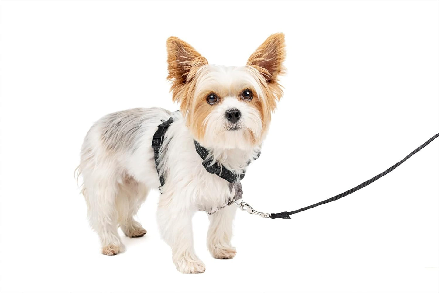 3-in-1 Hundegeschirr, S