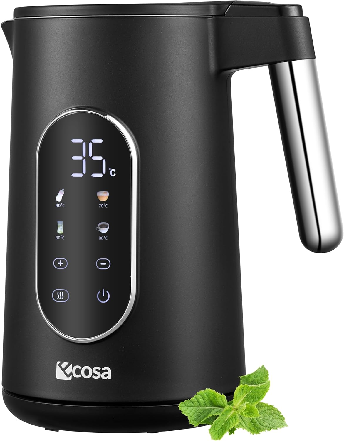 Wasserkocher mit Temperatureinstellung und Warmhaltefunktion
