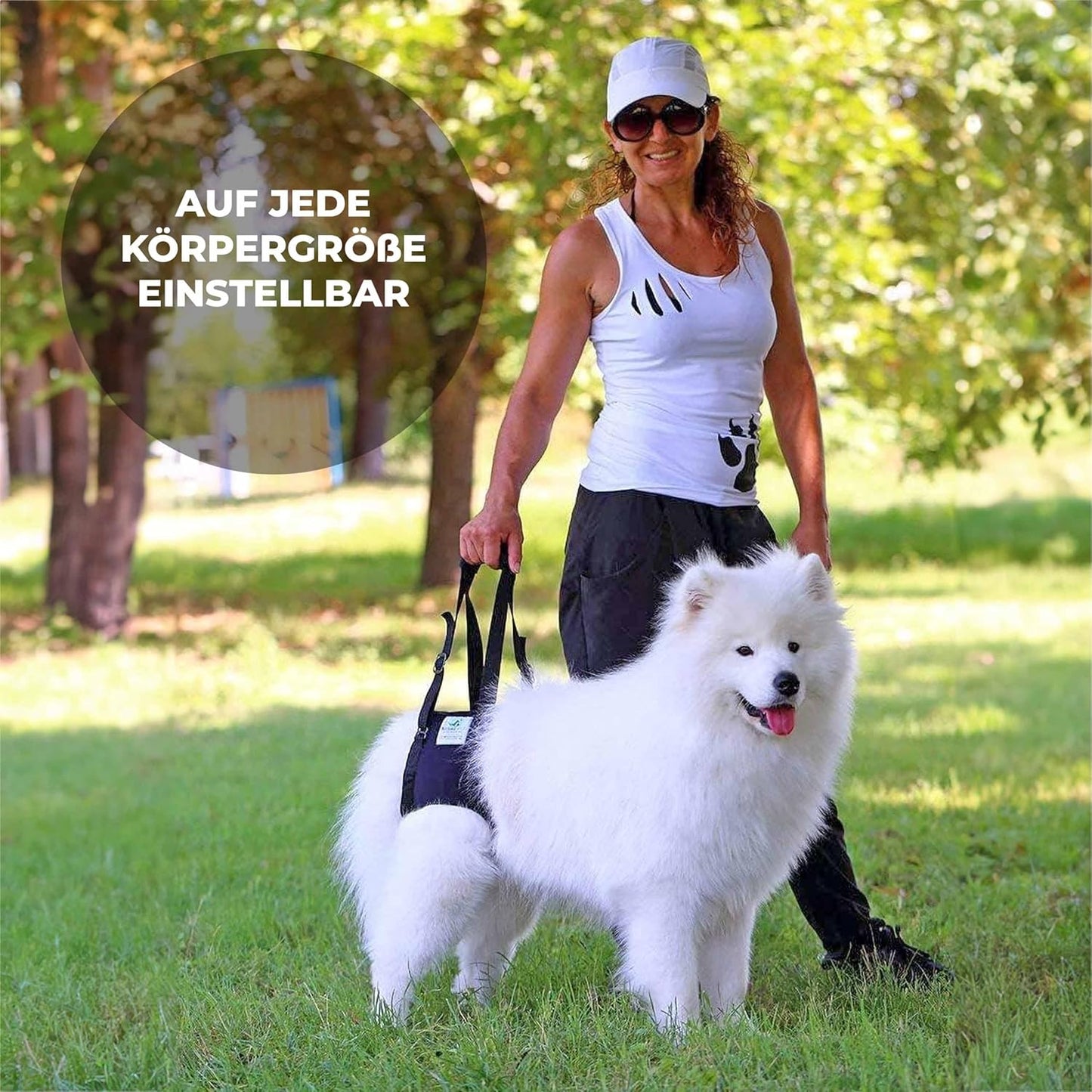 Tragehilfe für Hunde hinten (XXL), XXL Blau