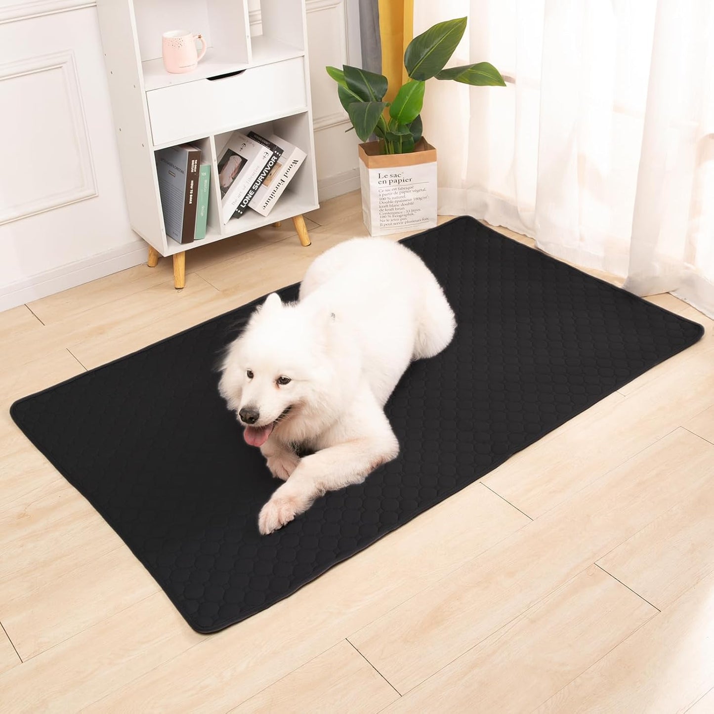2-teiliges Trainingsunterlagen-Set für Haustiere, Schwarz 150x90cm