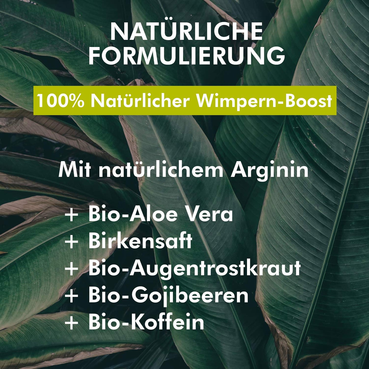 Natural Lash Extension Serum, transparent