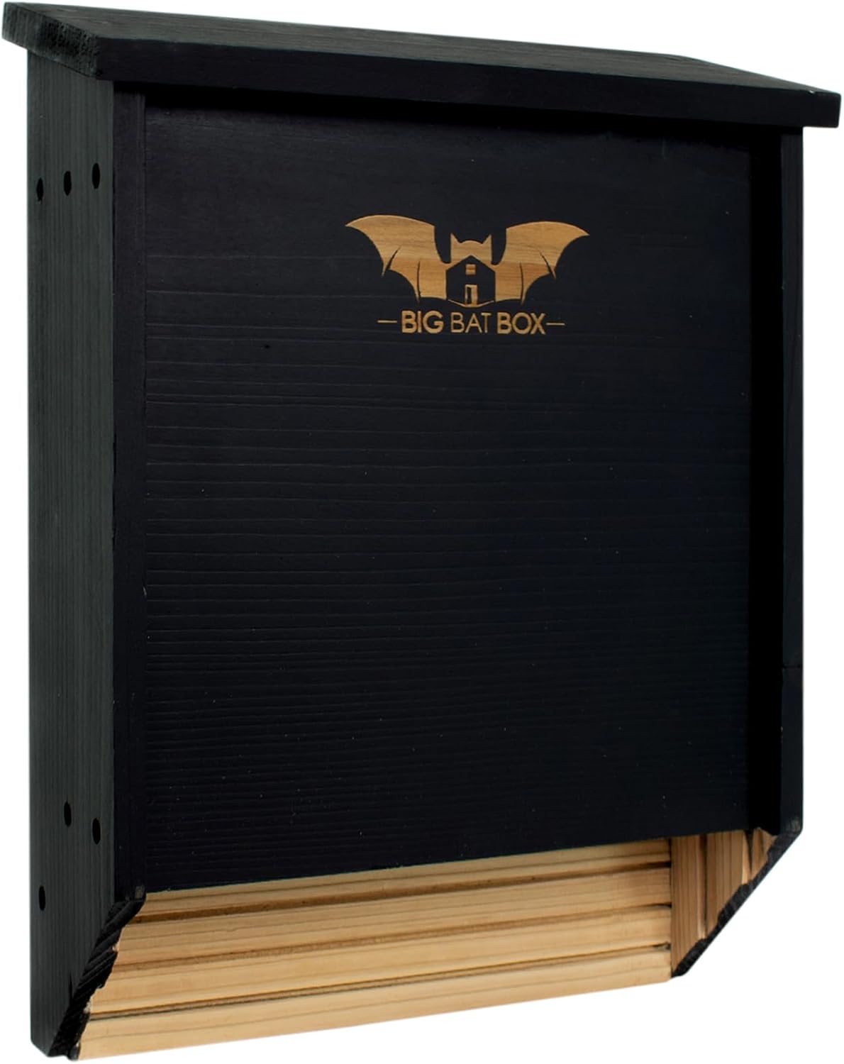 Fledermauskasten, 2 chamber black