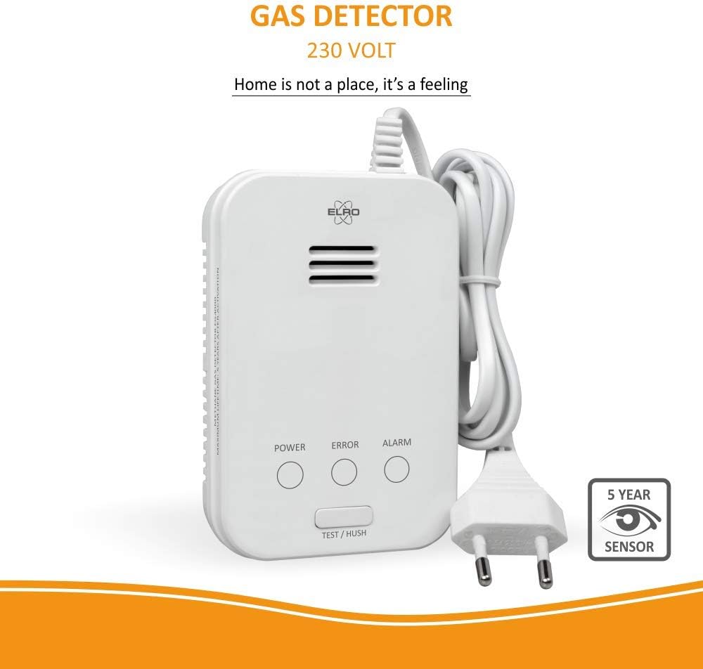 Gasmelder FG4000P