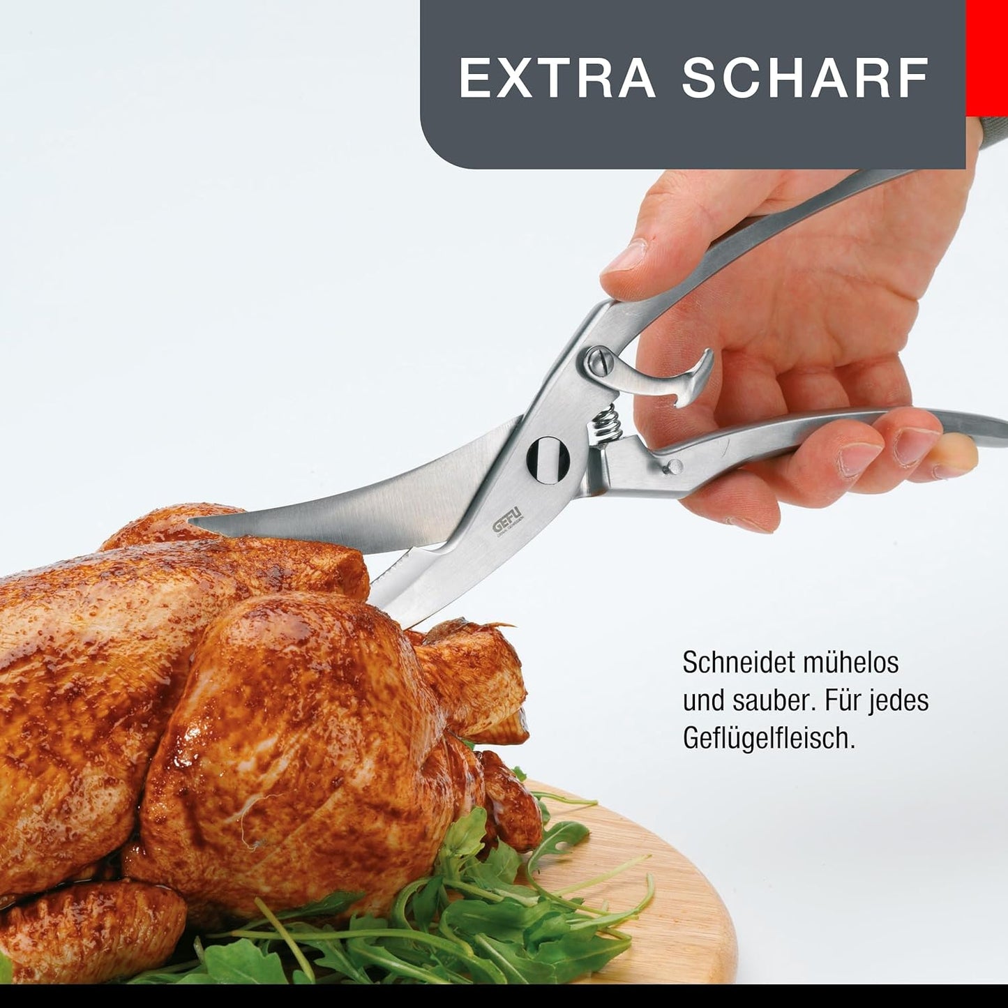 Geflügelschere Polla