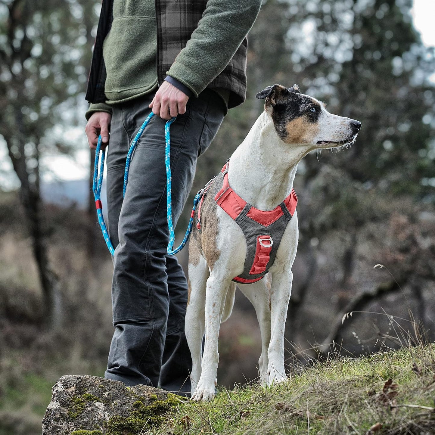 Journey Air Hundegeschirr, Coral Small