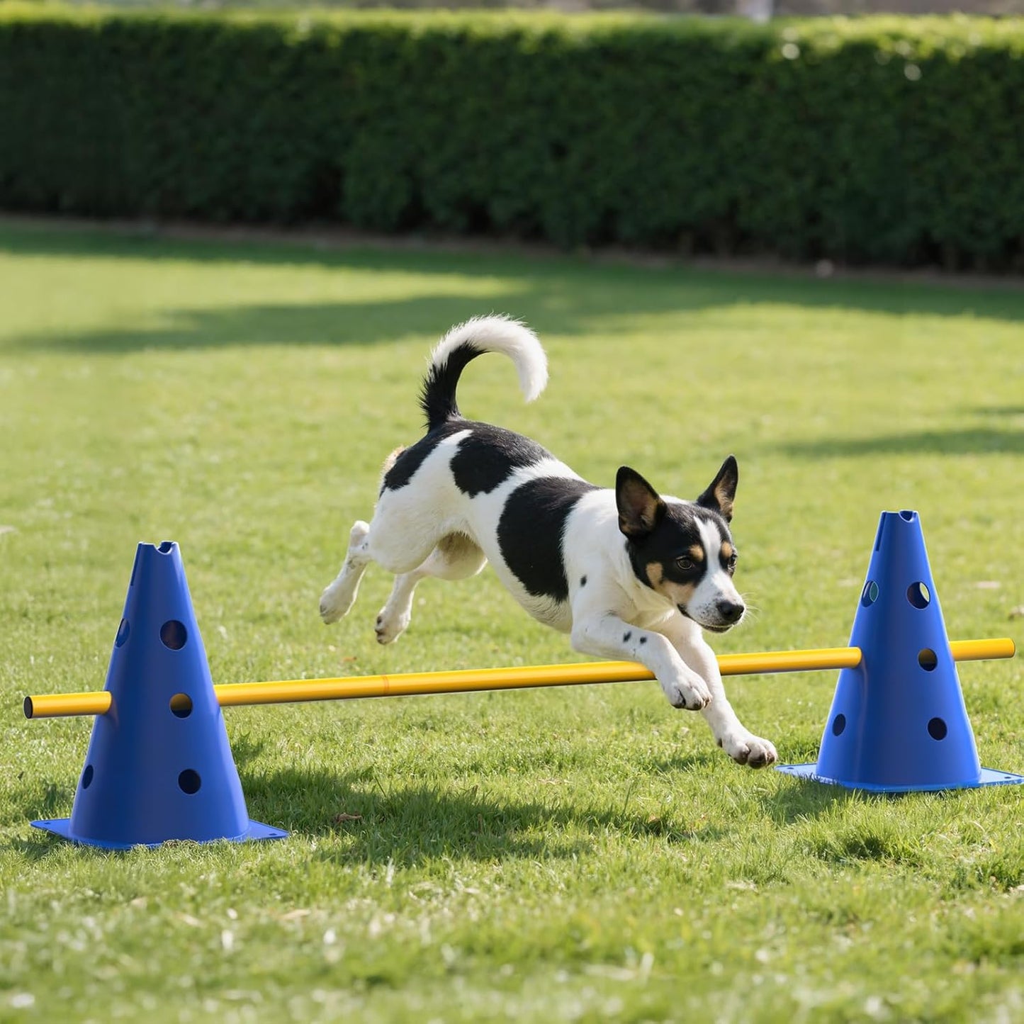 Agility Hürdenset, höhenverstellbar, 30 Stück