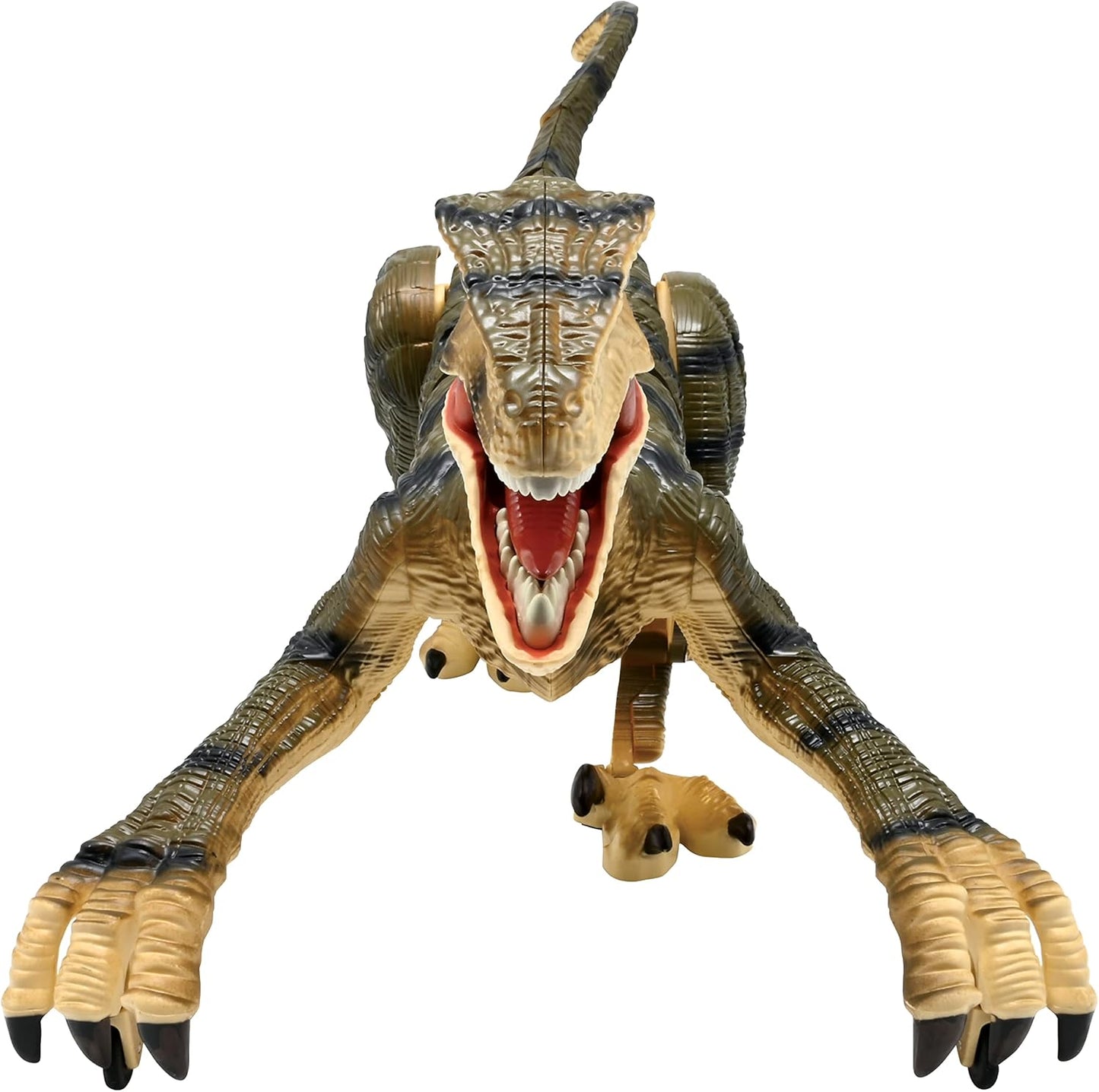 RC Raptor Dinosaurier mit Fernbedienung, DINO01