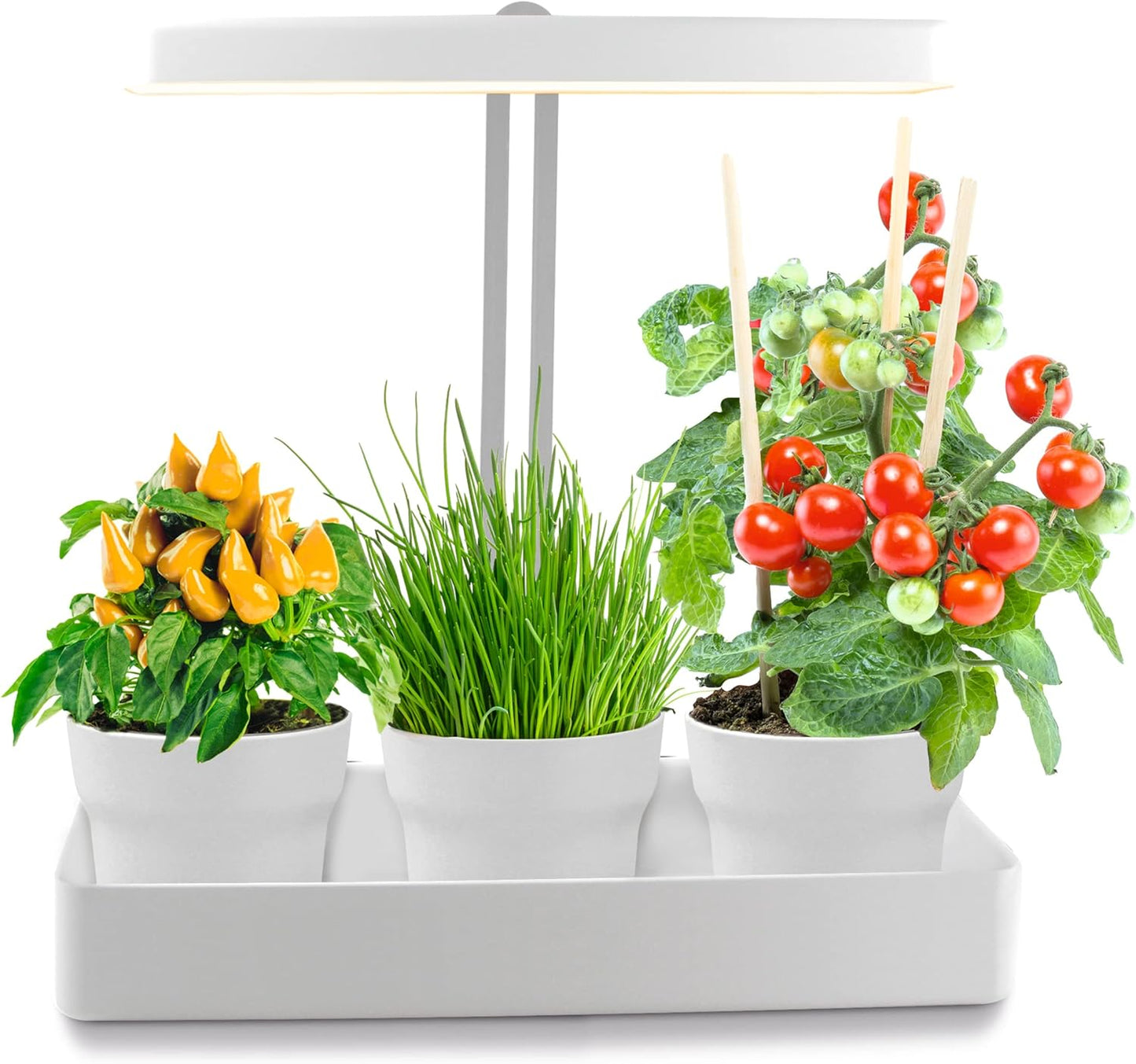 LED Anzuchtsystem ‎NP-PL-2019