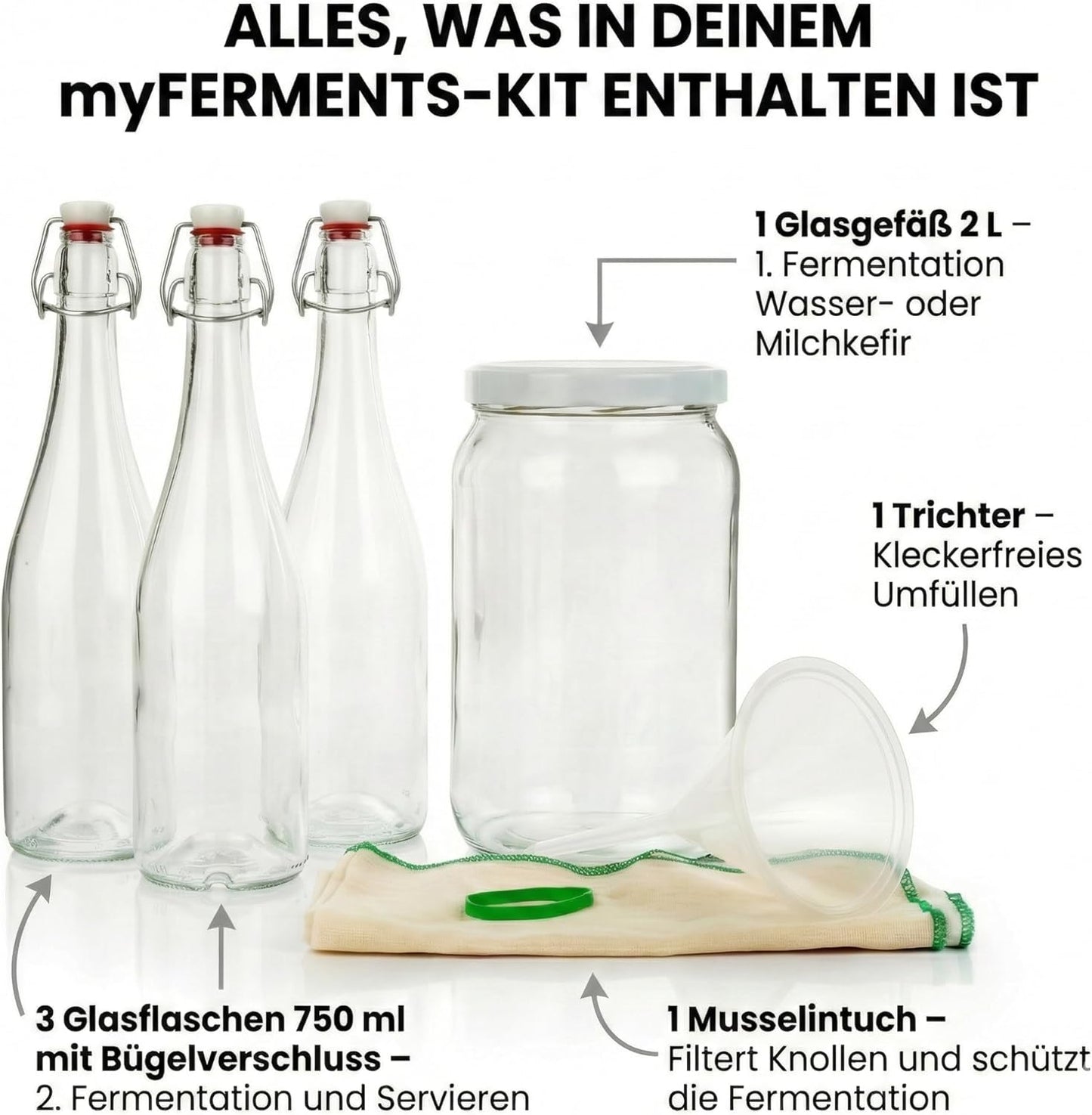 Kefir Fermentations-Set