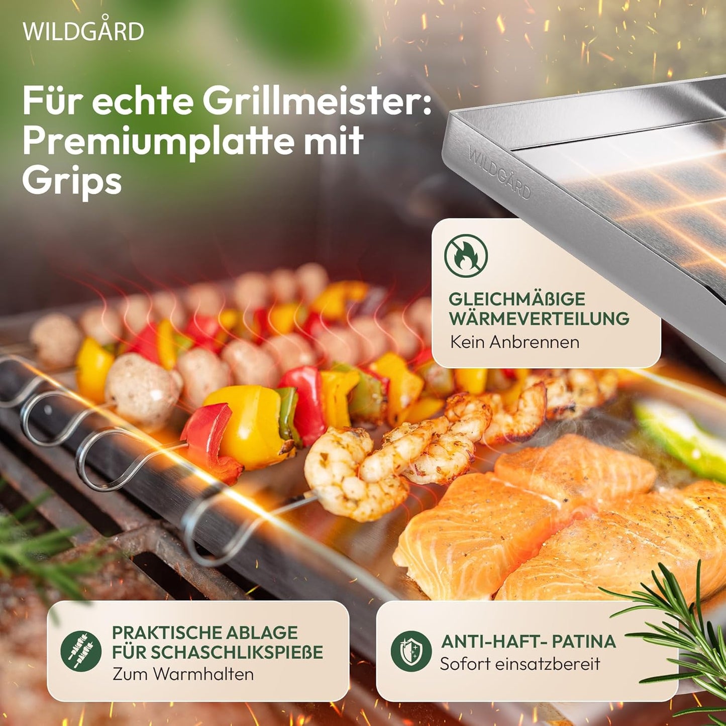 Plancha Grillplatte inkl. 2x Spachteln & 5x Spiessen, 35 x 25 cm