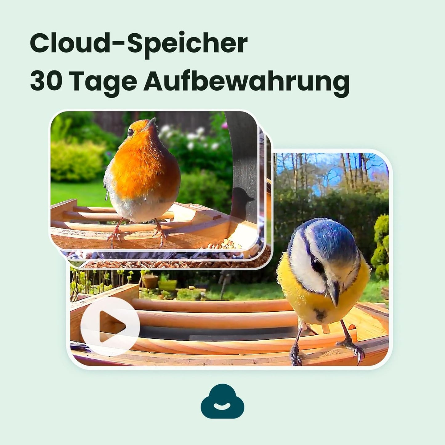 Vogelfutterhaus mit Kamera und Nachtsichtfunktion, AI by Subscription