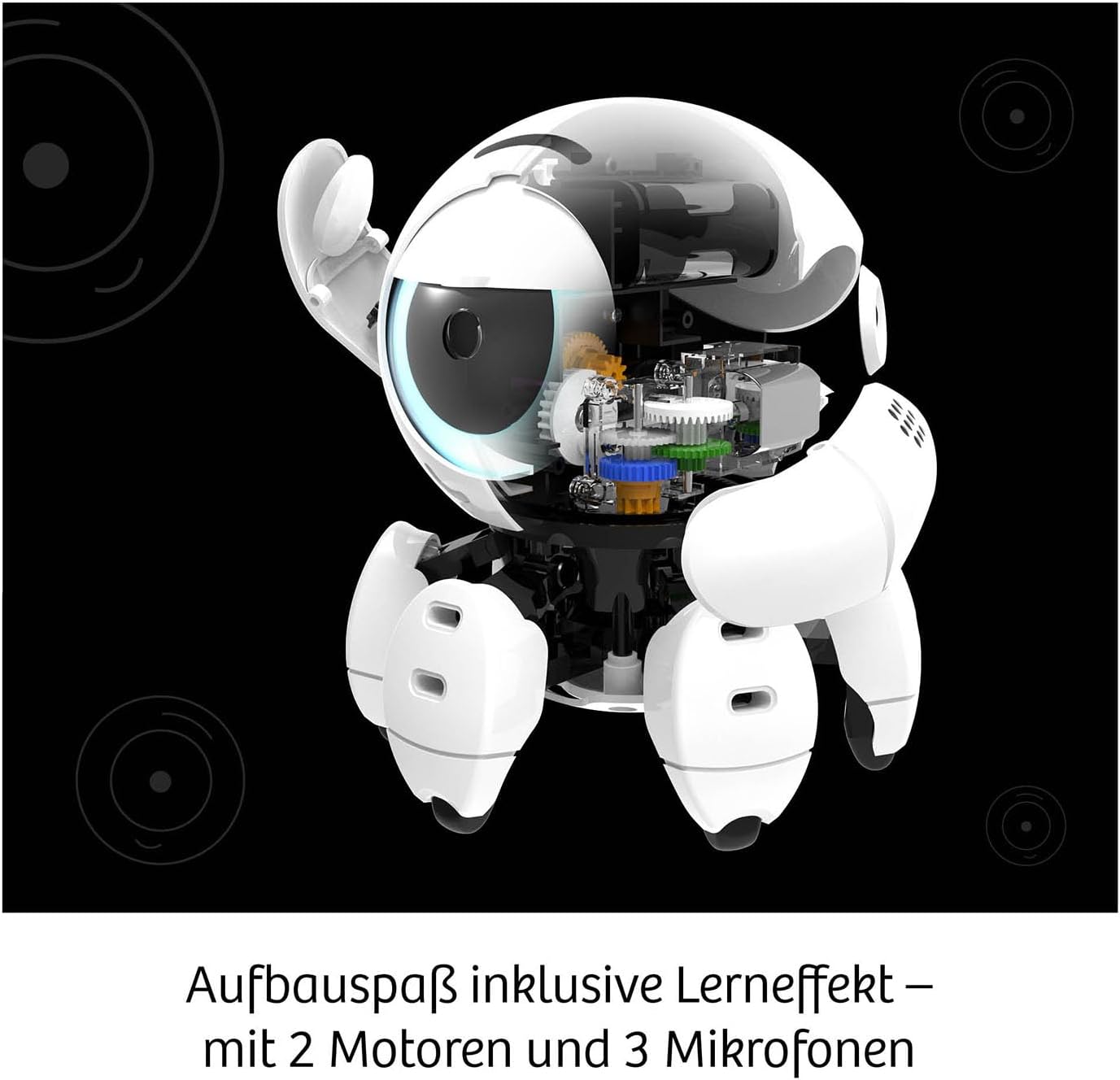 Robo-Freund Bitsy mit Sound-Steuerung, Bitsy mit mehrsprachiger Anleitung