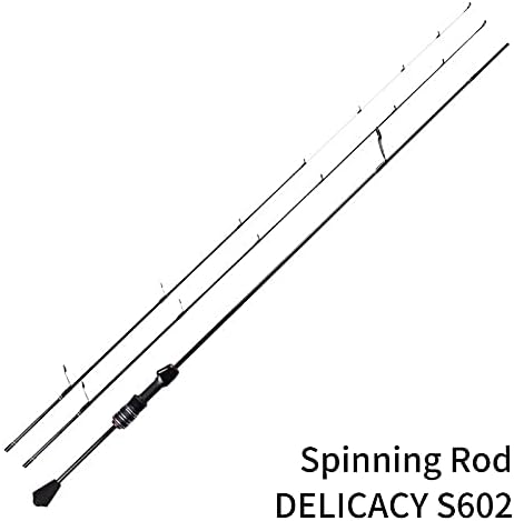 Ultraleichte Angelrute mit 2 Spitzen, Spinning