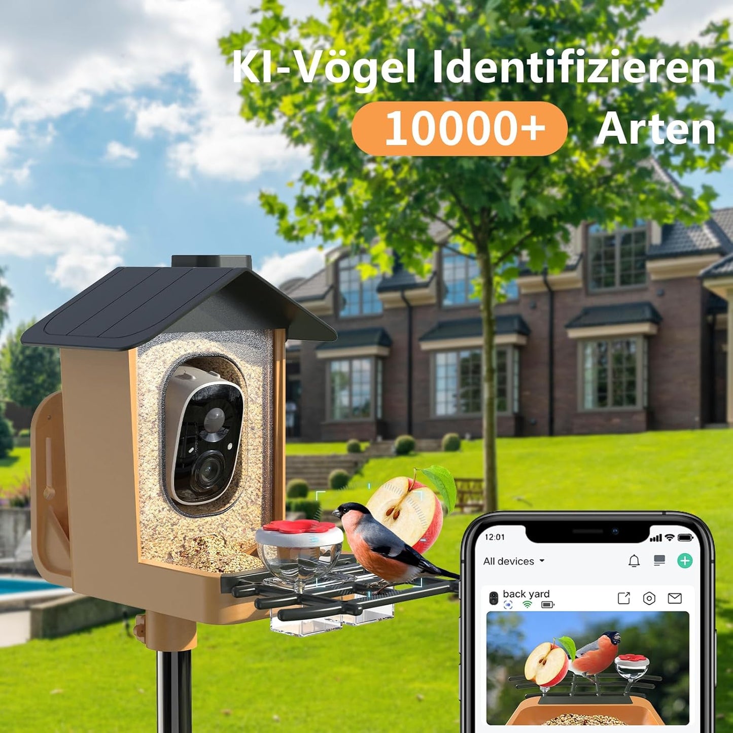 Vogelfutterhaus mit 2K HD Kamera und Nachtsicht, Orange