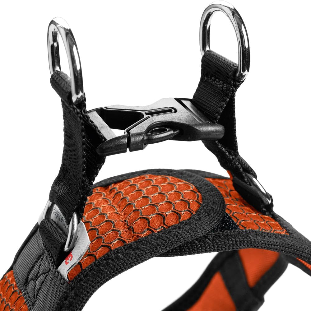 Hundegeschirr Hilo Comfort, orange XS-S
