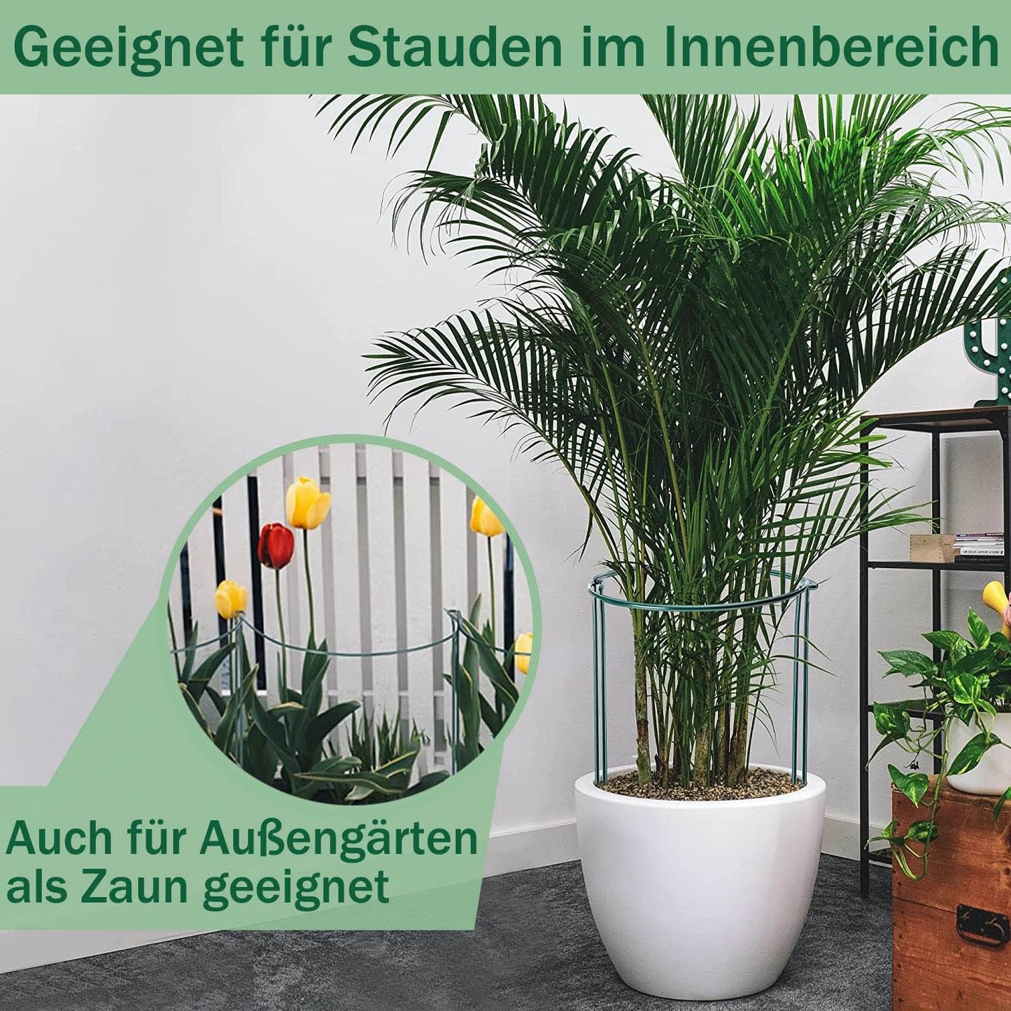 Pflanzenstützen-Set, 45*25cm(10pcs)