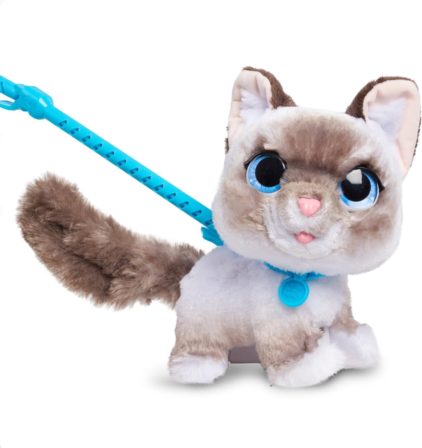 Wag-a-lots Kitty