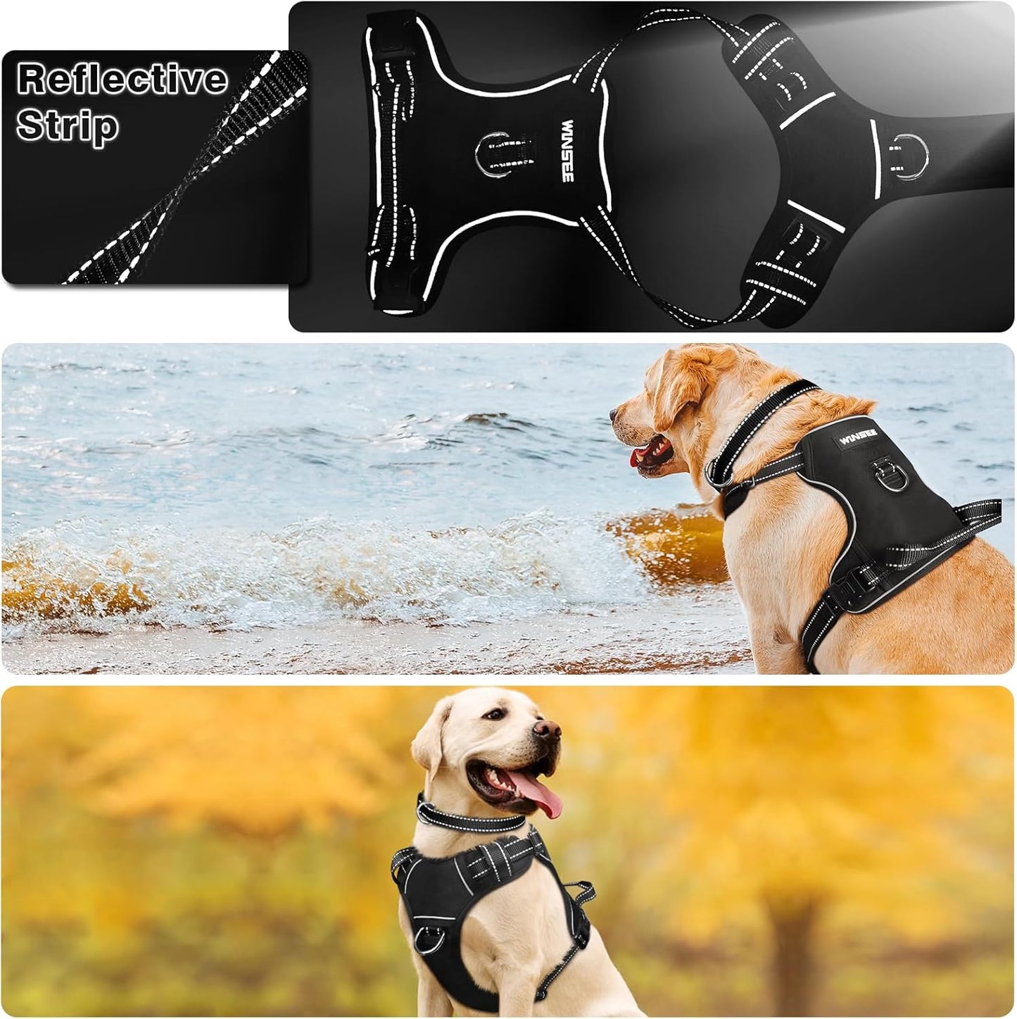 Hundegeschirr mit Halsband, Large Schwarz