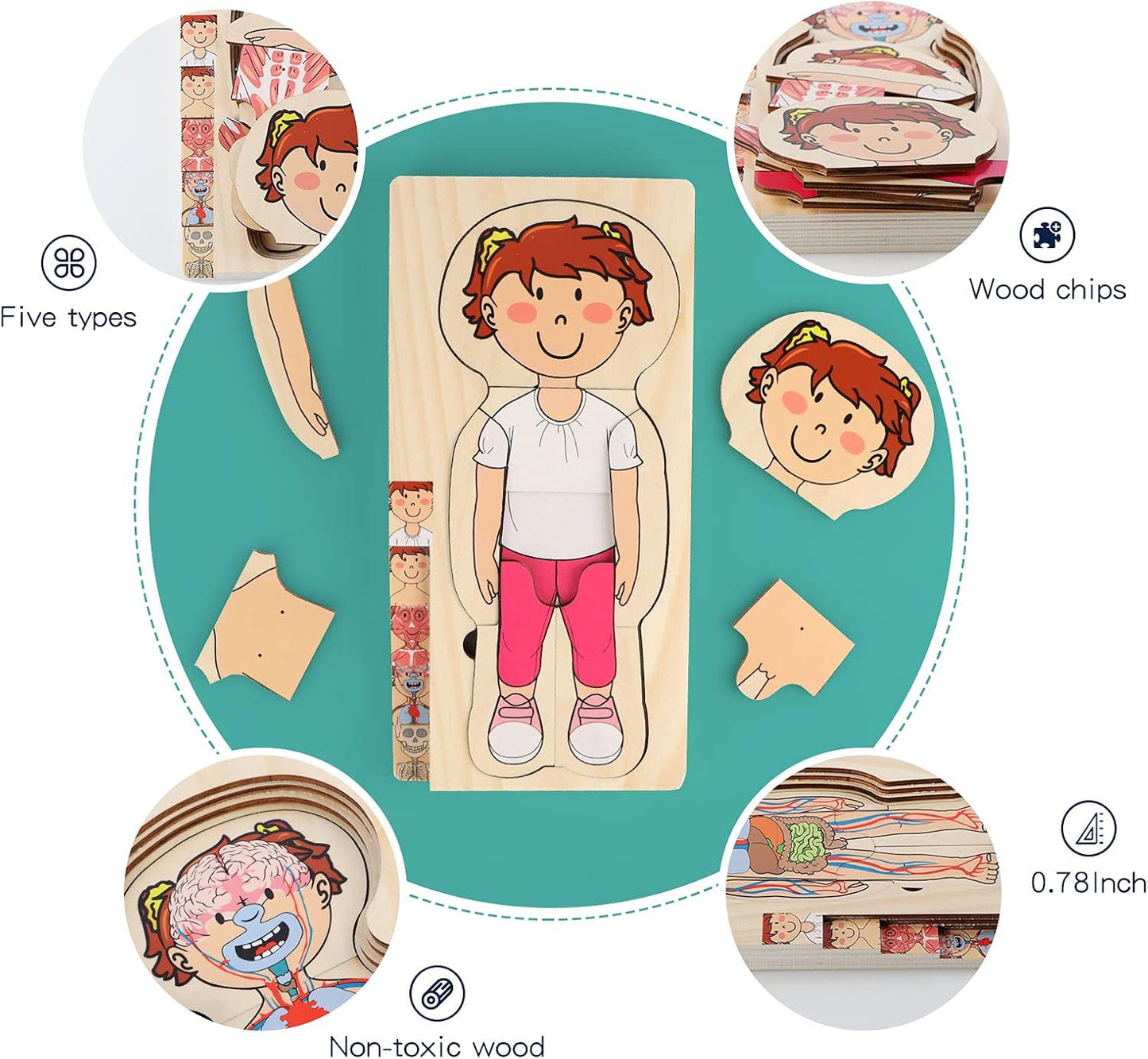 Mädchen-Anatomie-Puzzle