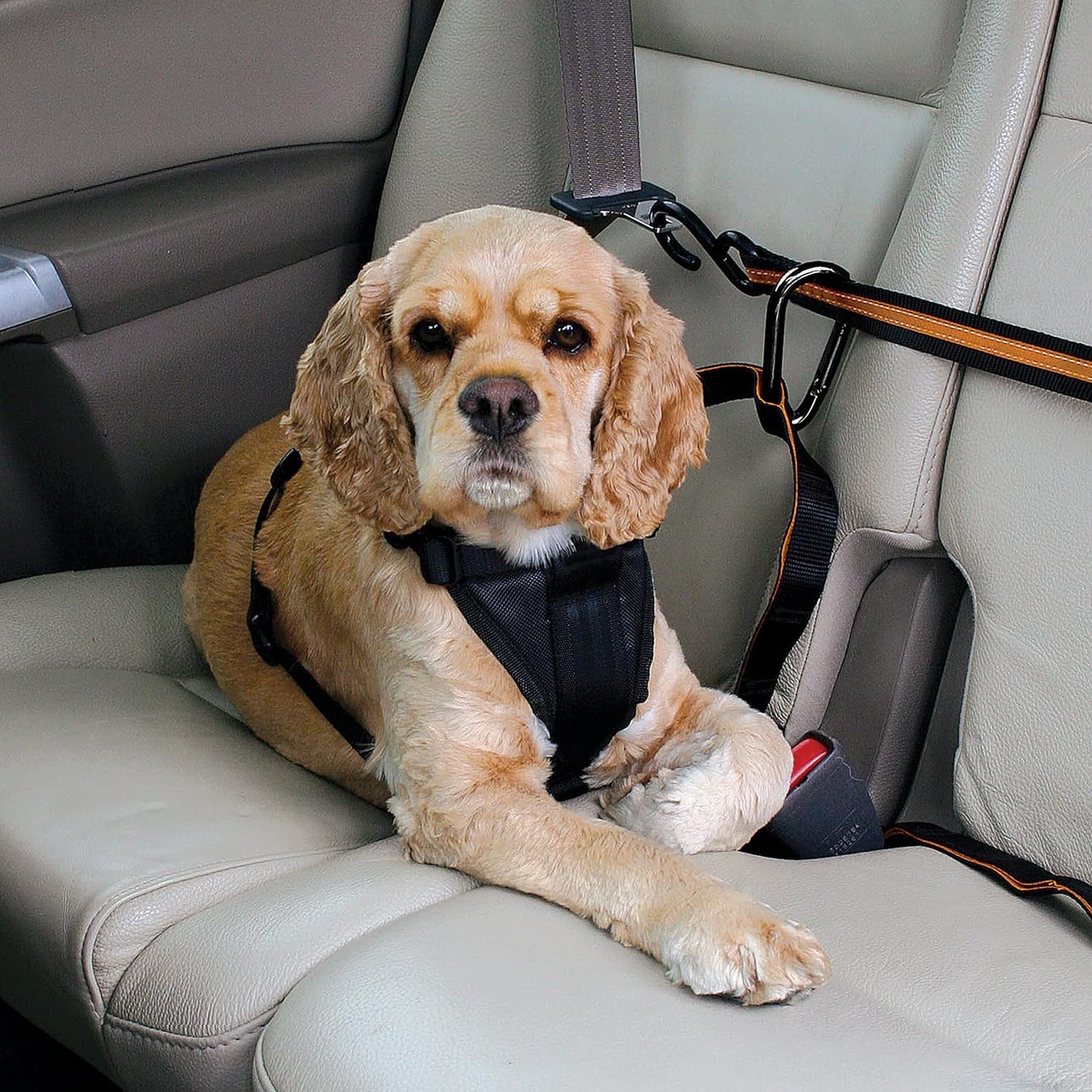 Auto-Sicherheitsgurt für Hunde mit Zip Line System, Zip Line - Karabiner Klip, Orange, Einzelpack