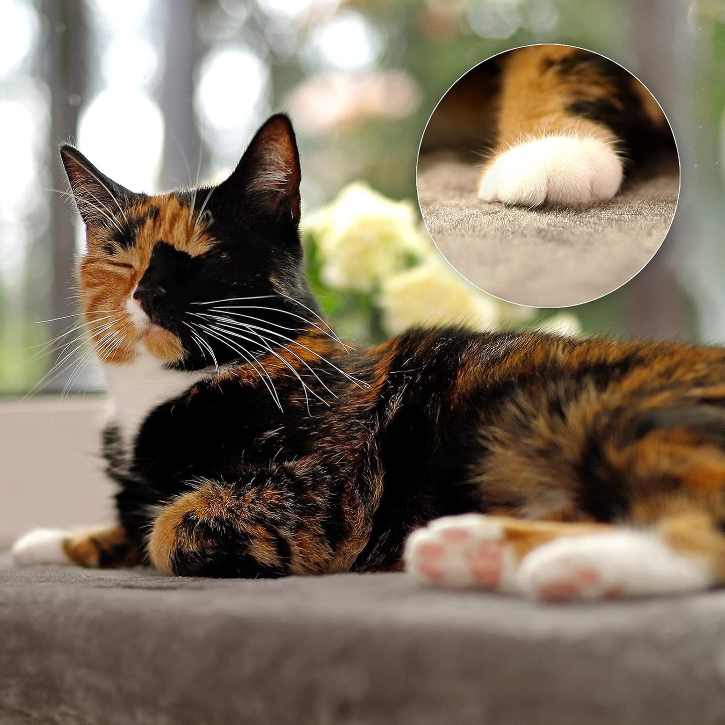 Fensterliege für Katzen, Dunkelgrau