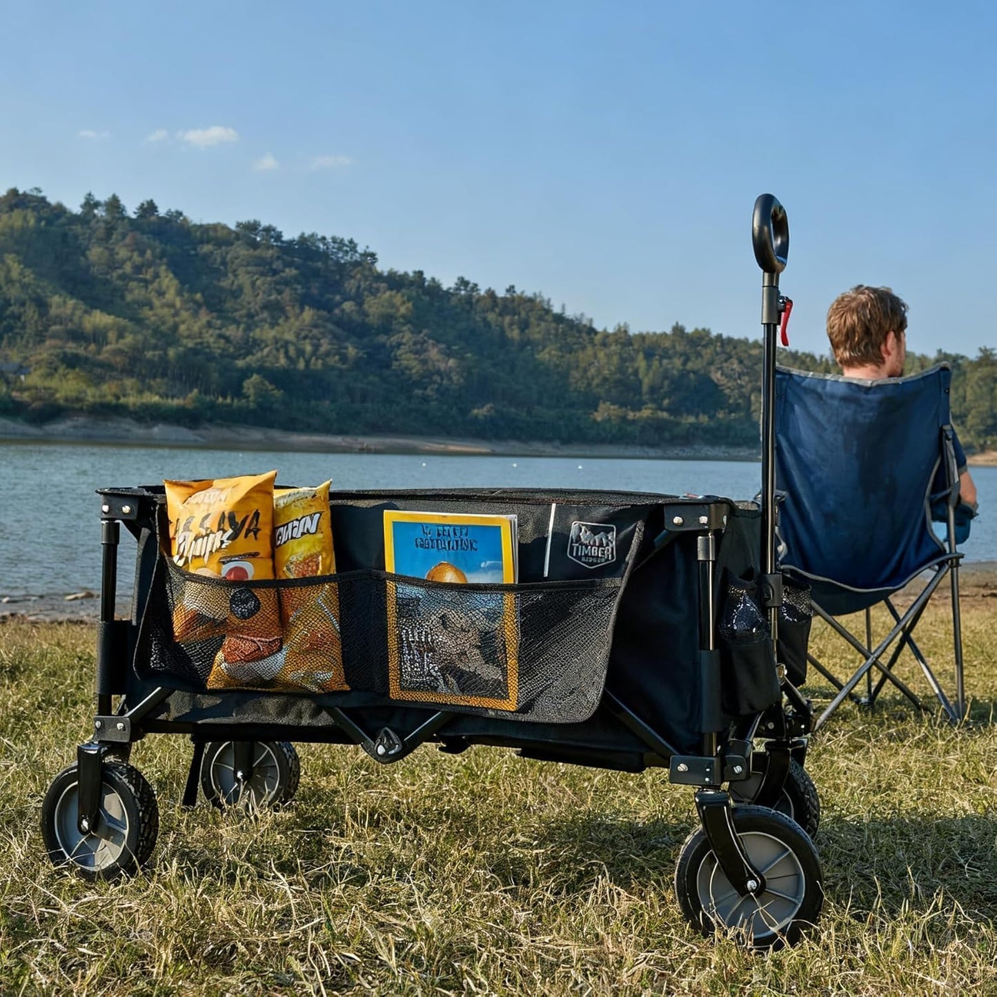 Faltbarer Bollerwagen mit verstellbarem Griff und Seitentaschen, Schwarz